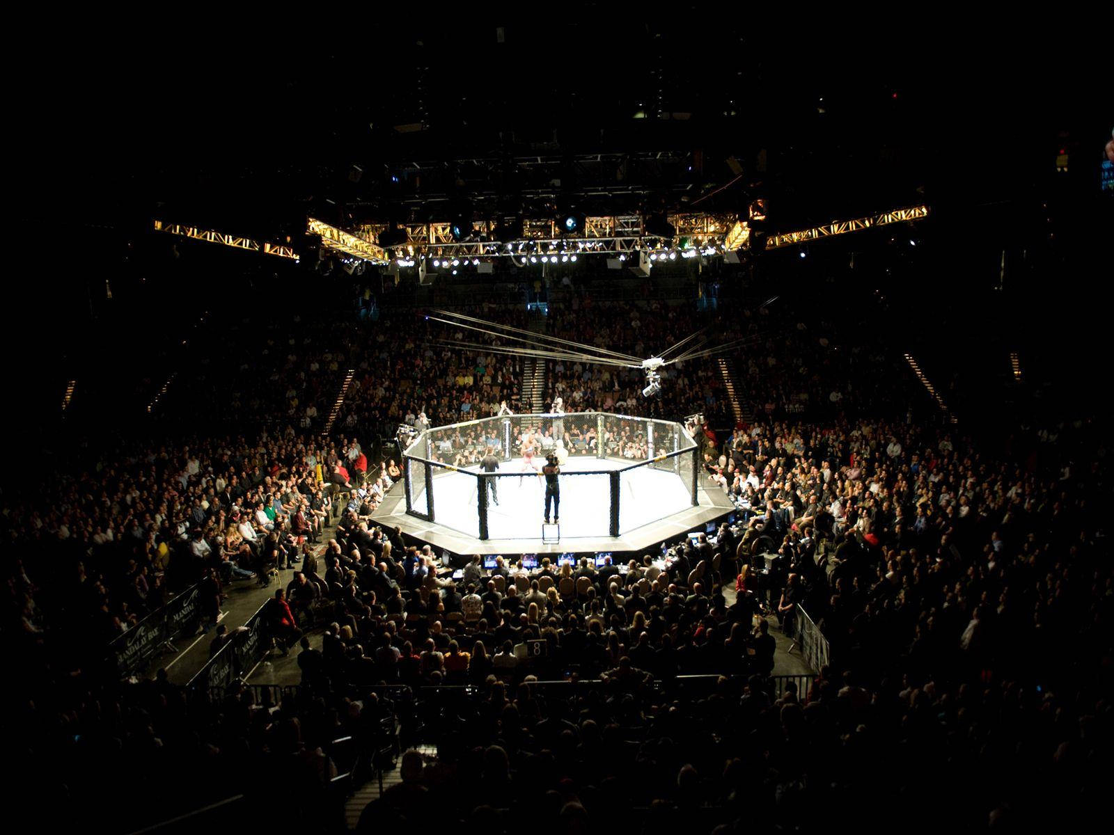 UFC, octagon cage, dark arena, HD Desktop Wallpaper