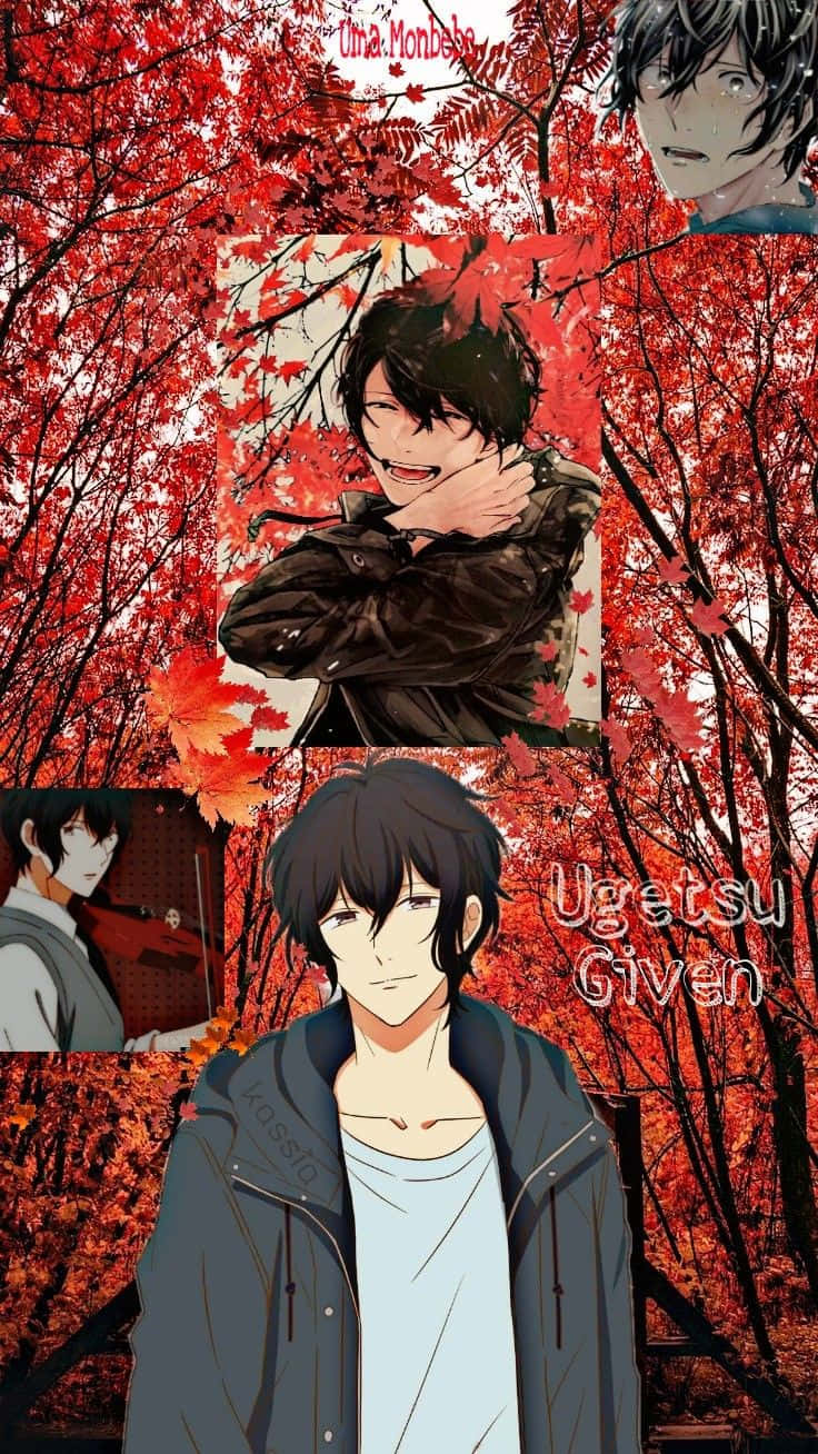 Ugetsu Murata, autumn vibes, vibrant red maple forest, HD Phone Wallpaper