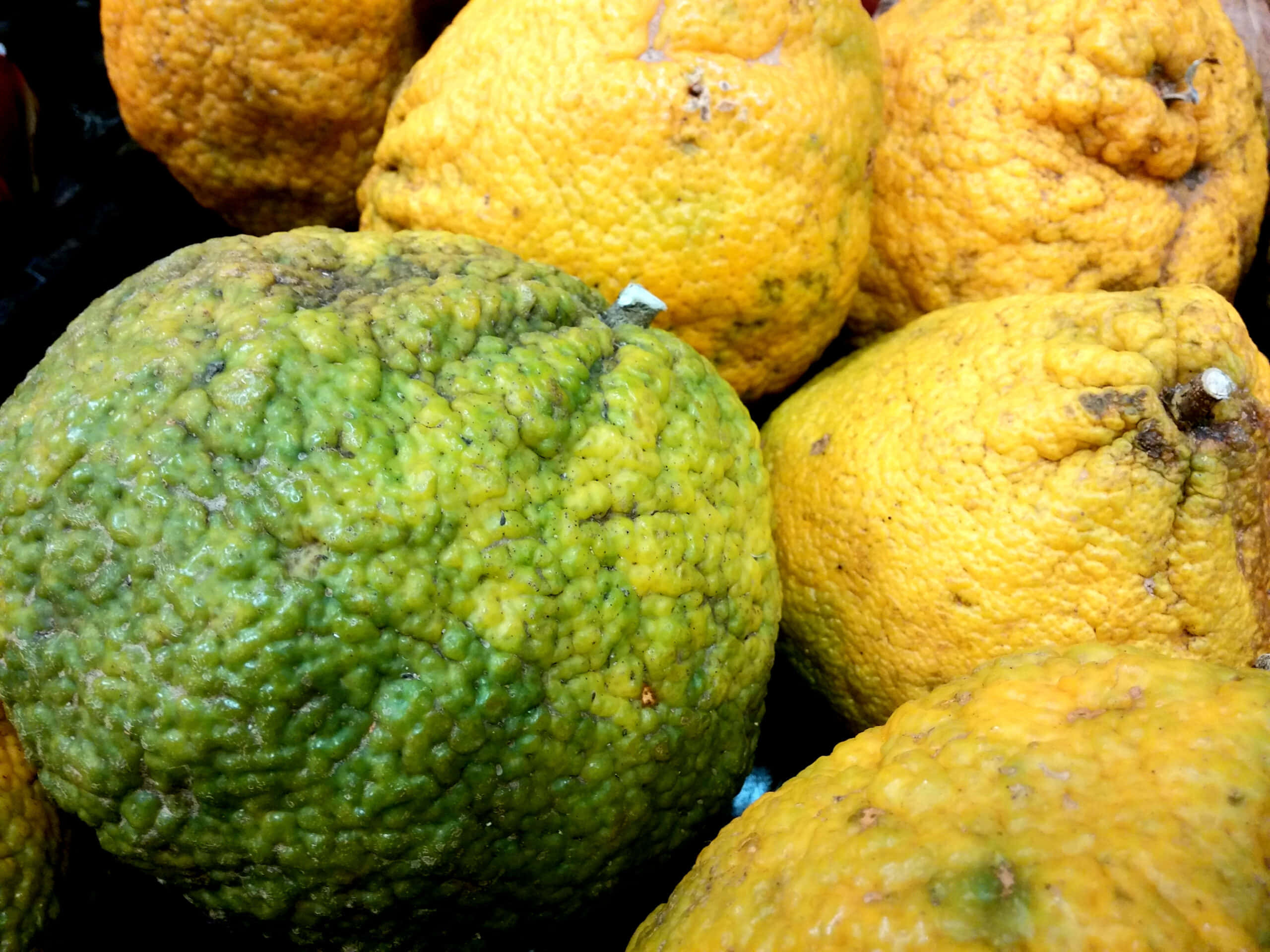 Ugli fruit, green, yellow, 2K Desktop Wallpaper