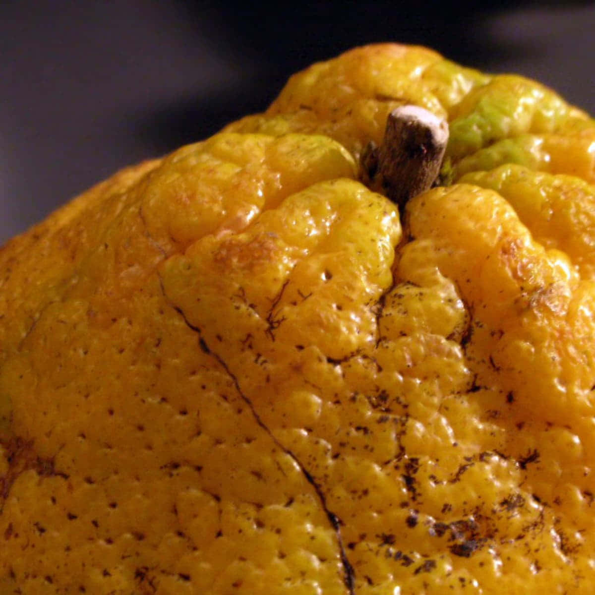 Ugli fruit, yellow rind, bumpy textured, SD Desktop Wallpaper