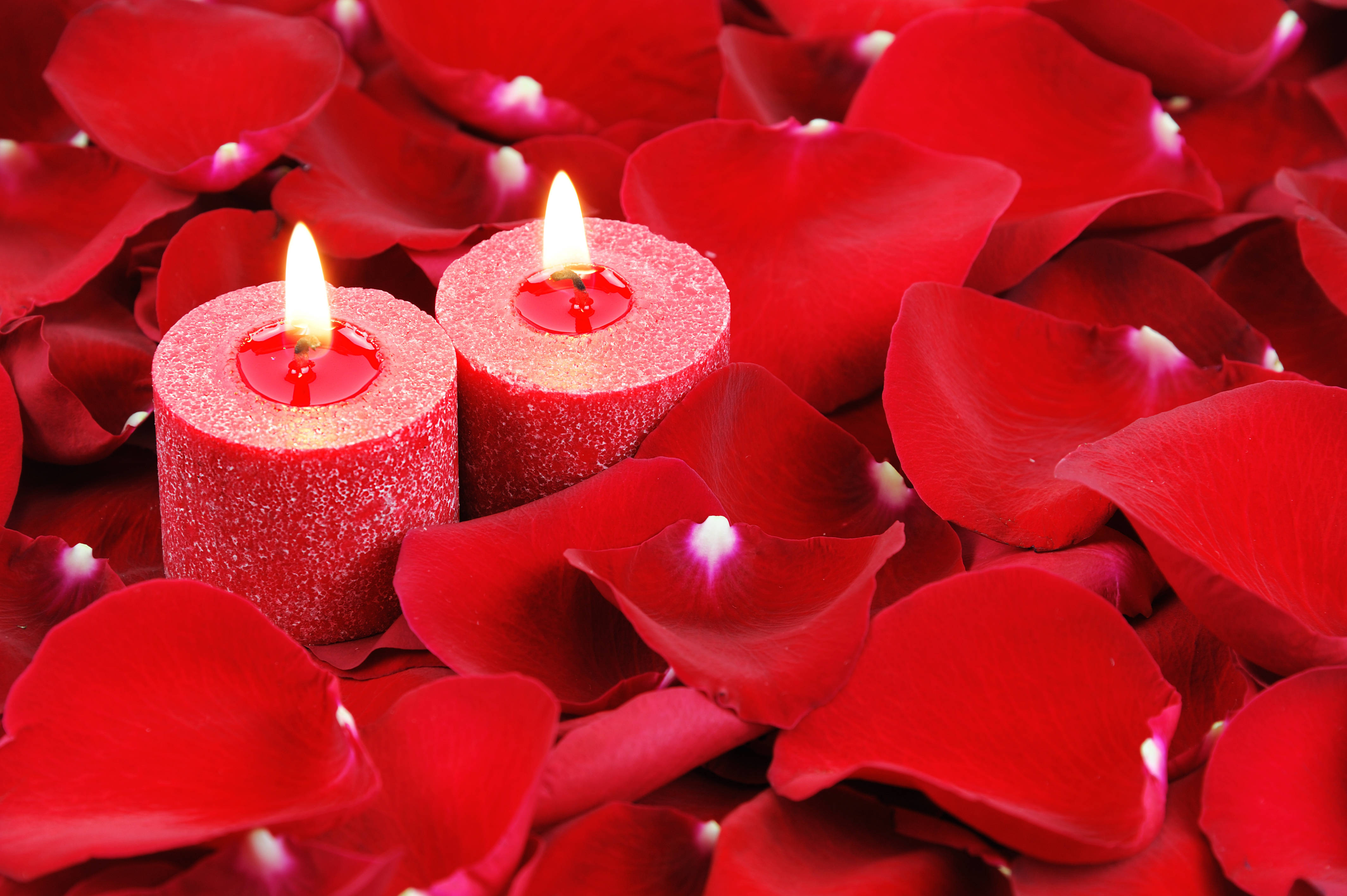 red 4k uhd, glowing red candles, vibrant red rose petals, 4K Desktop Wallpaper