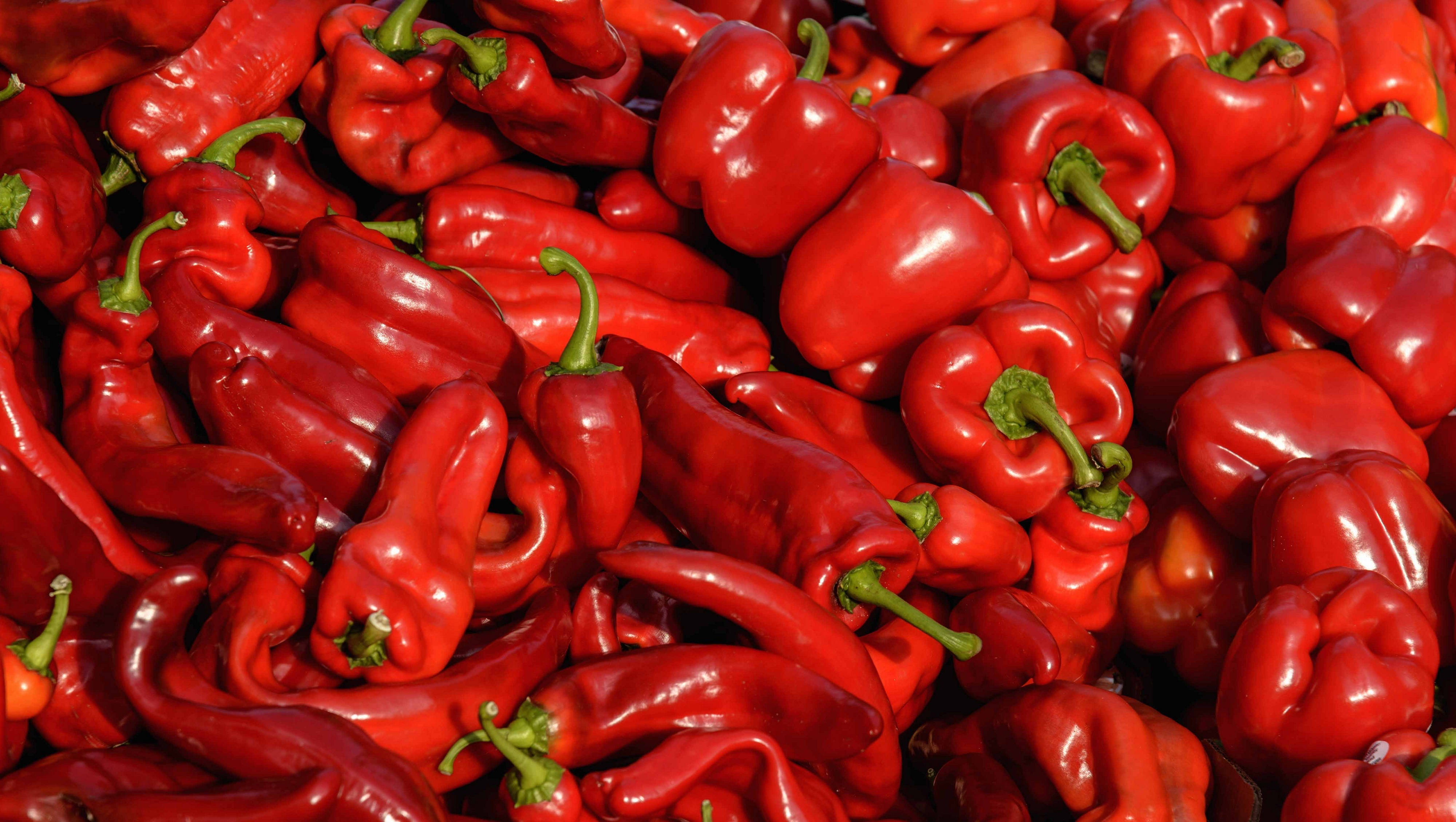 red bell peppers, chili peppers, glossy, 4K Desktop Wallpaper