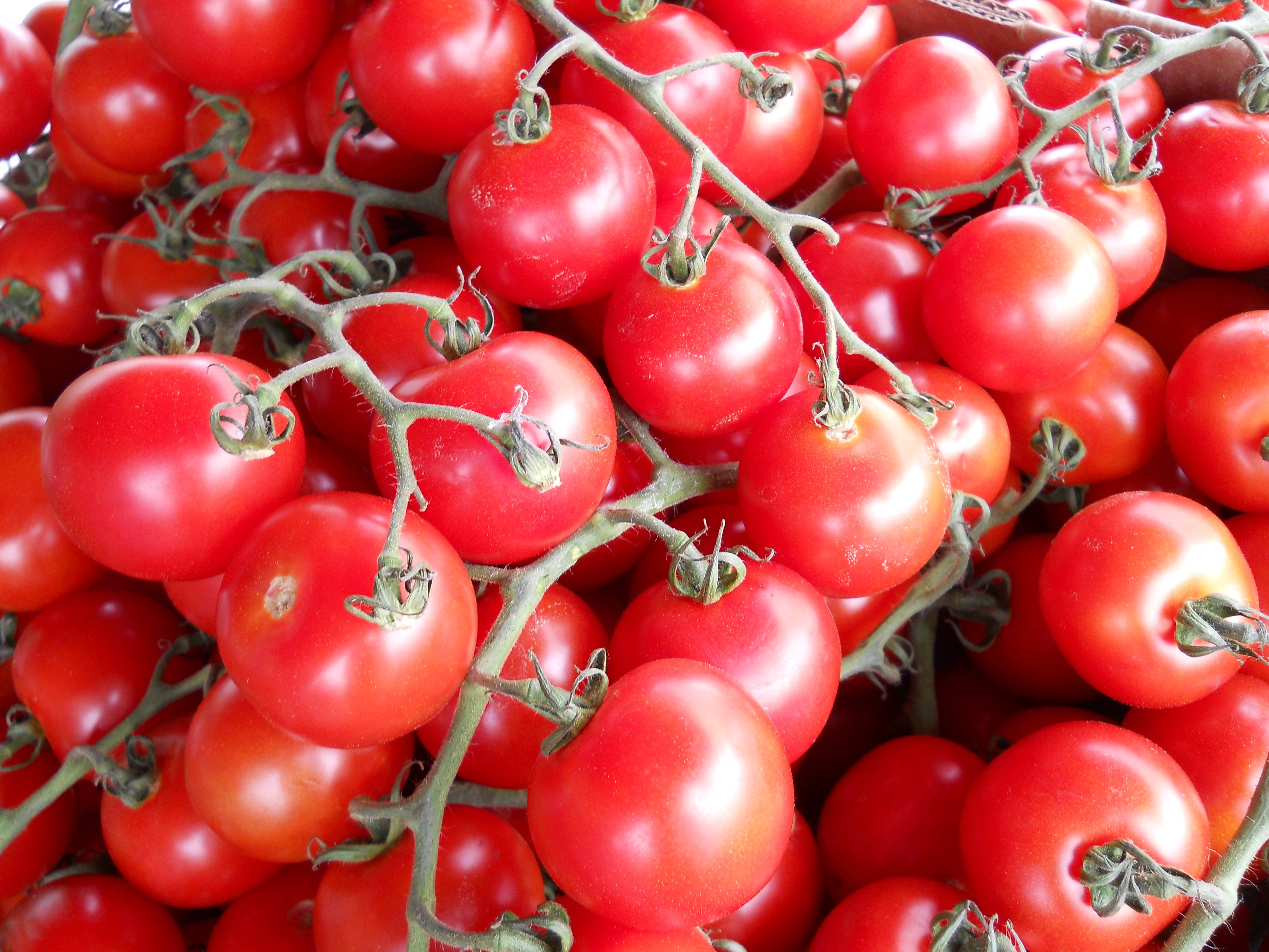 red, 4K UHD, cherry tomatoes, 4K Desktop Wallpaper