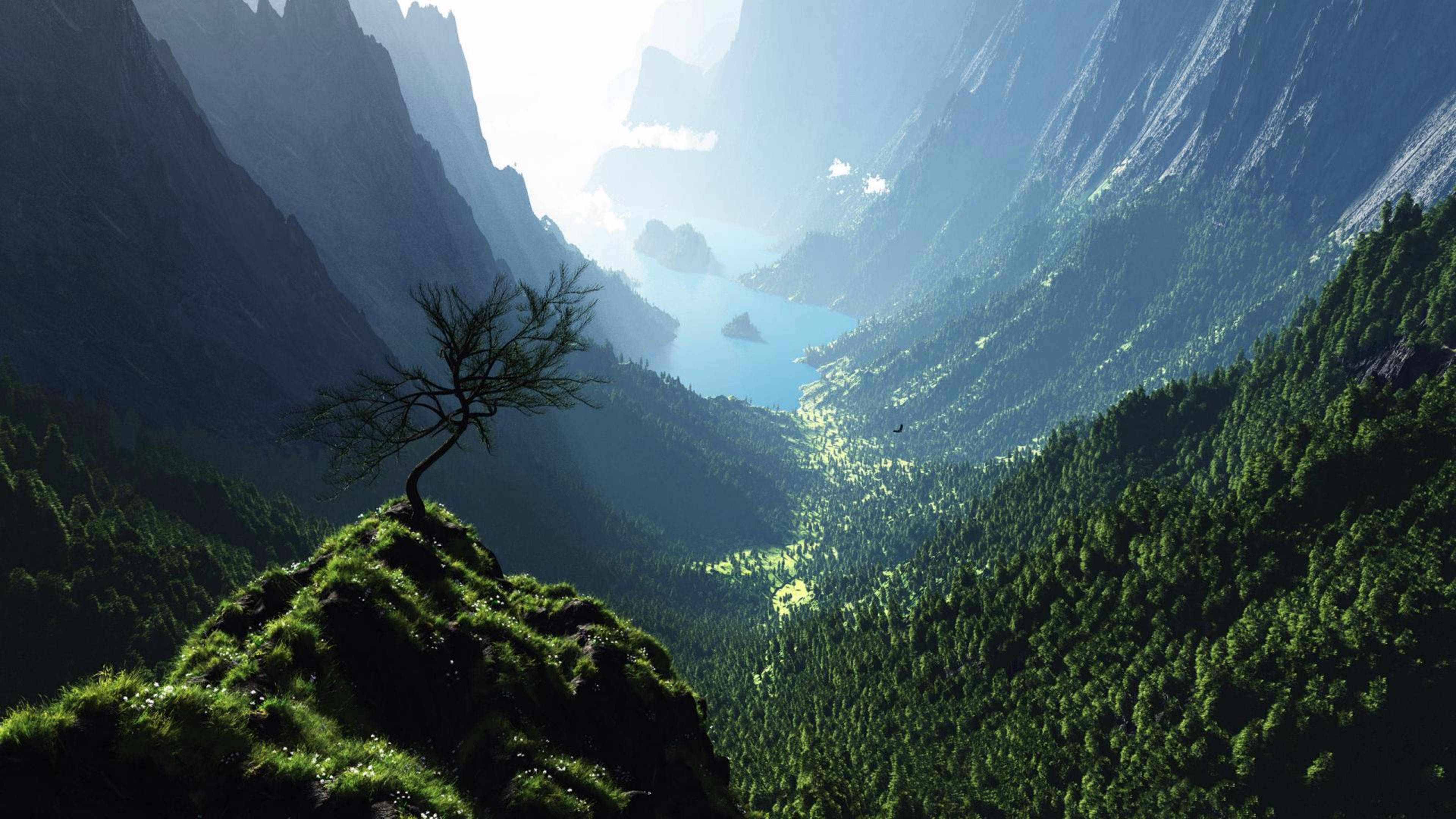 mountain forest valley, mossy cliff, winding river, 4K Desktop Wallpaper