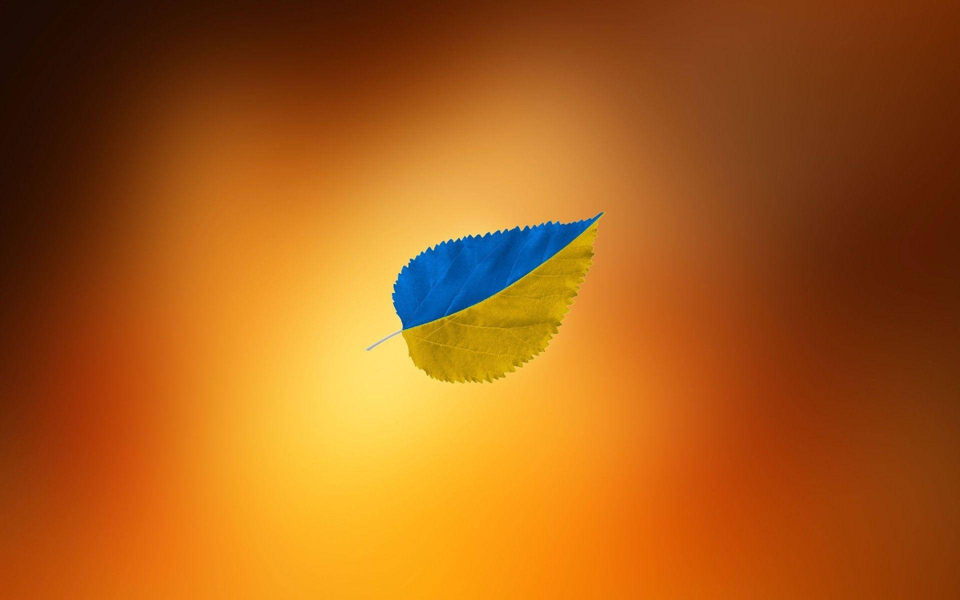 Ukraine Flag, blue and yellow halves, warm gradient background, Full HD Desktop Wallpaper