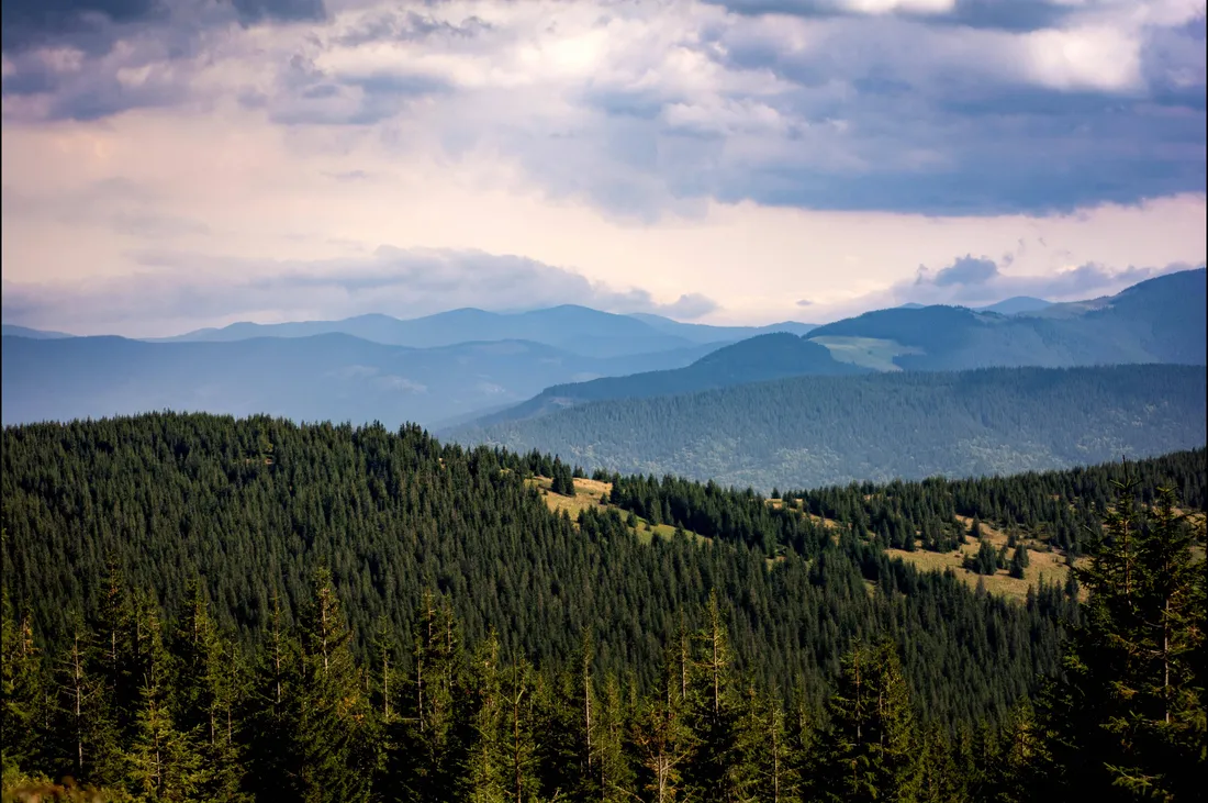 Ukraine Wallpapers