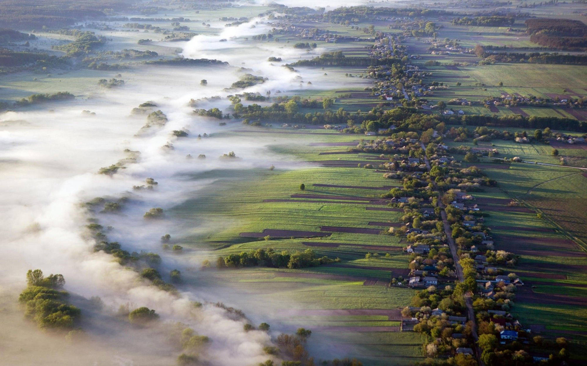 Ukraine, mist, vibrant green fields, Full HD Desktop Wallpaper