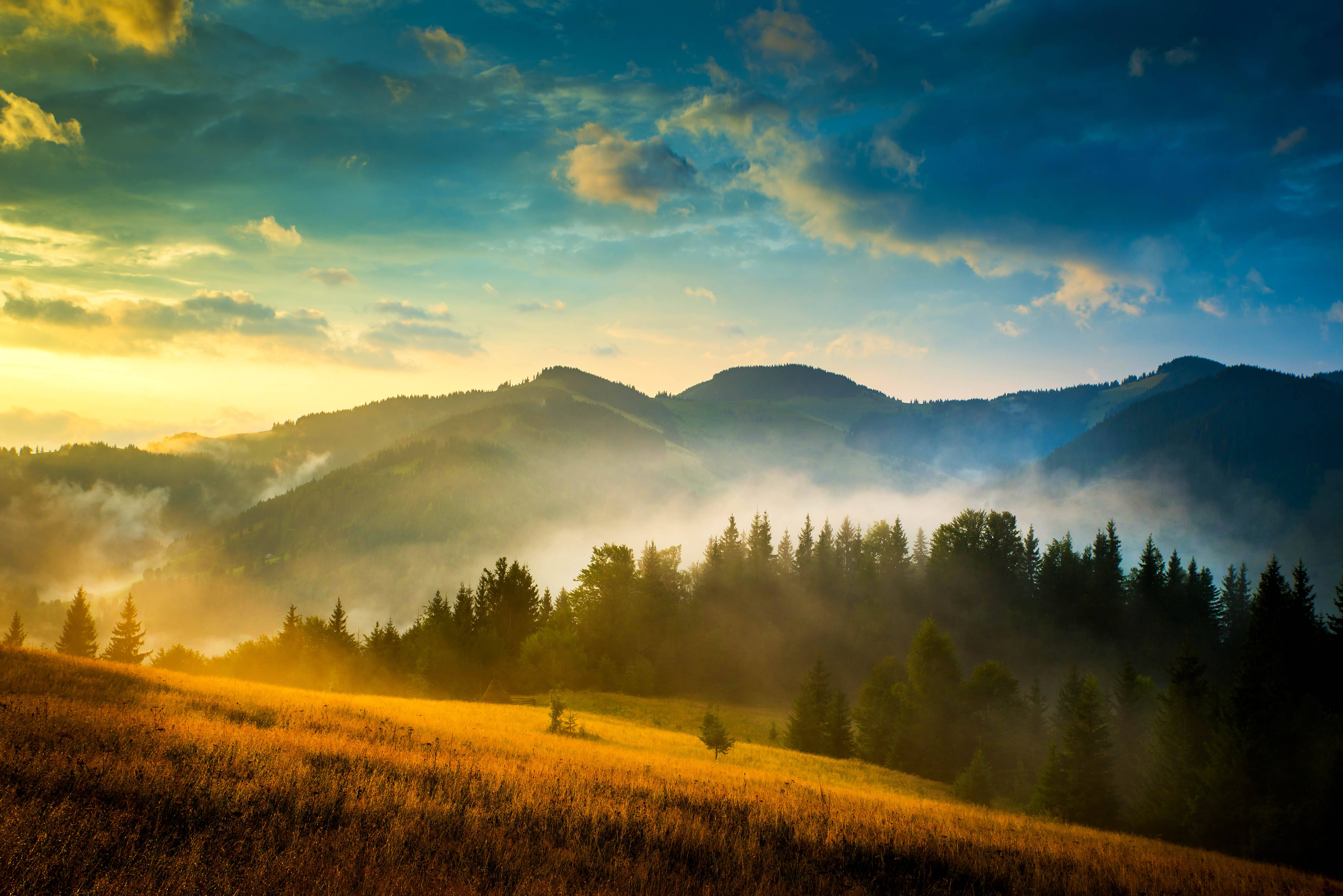 Ukraine, foggy mountain, golden sunrise, 4K Desktop Wallpaper
