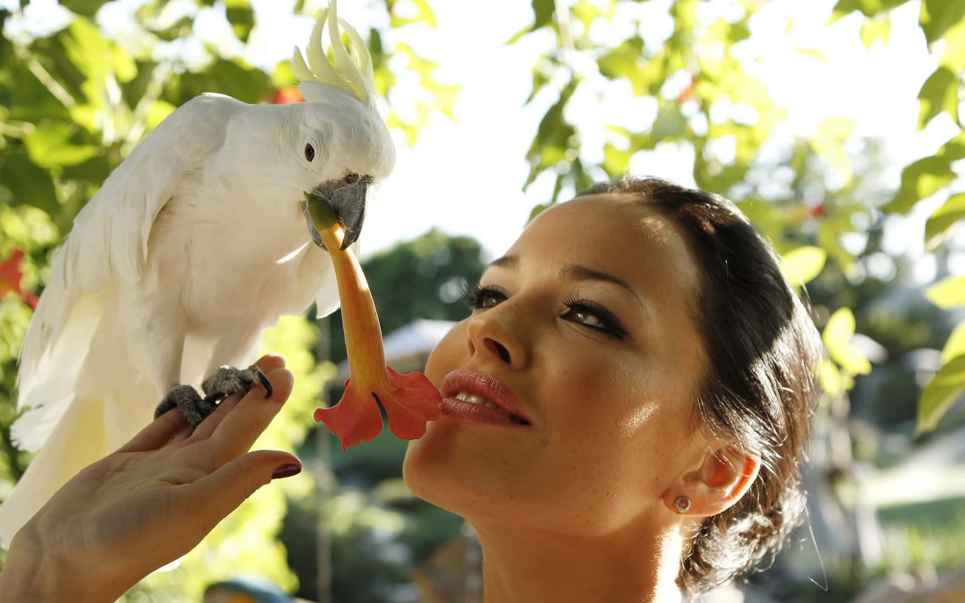 Ukrainian Girl, white cockatoo, bright green foliage, Full HD Desktop Wallpaper