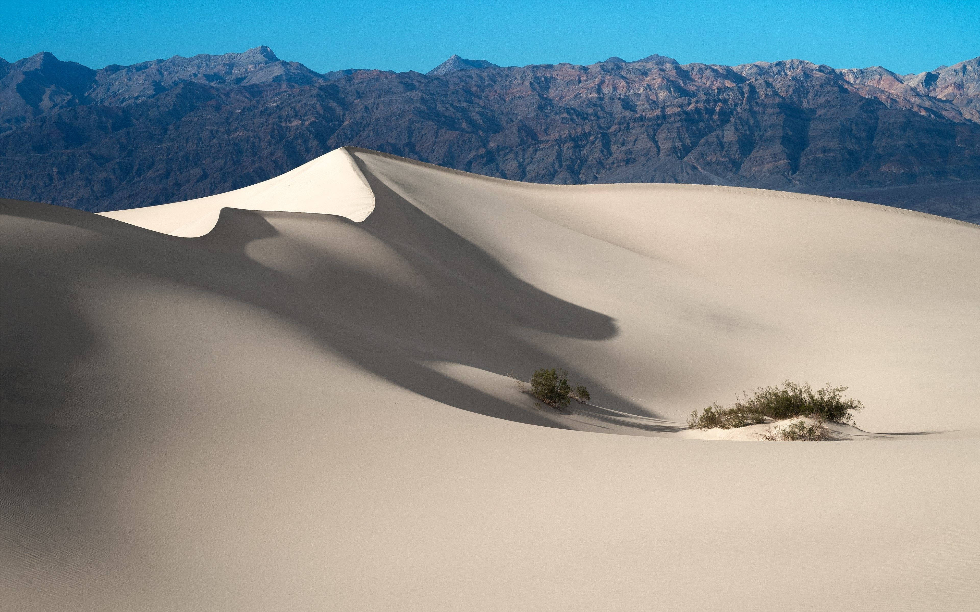Ultra HD, white sand dune, bright blue sky, 4K Desktop Wallpaper