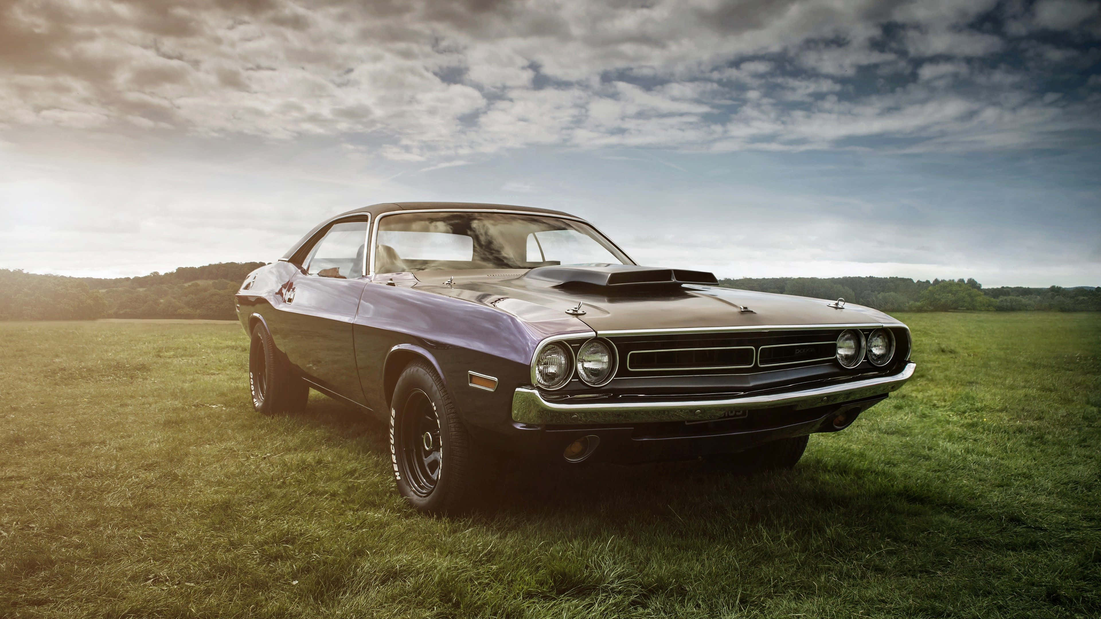 vintage muscle car, purple and black paint job, grassy field, 4K Desktop Wallpaper