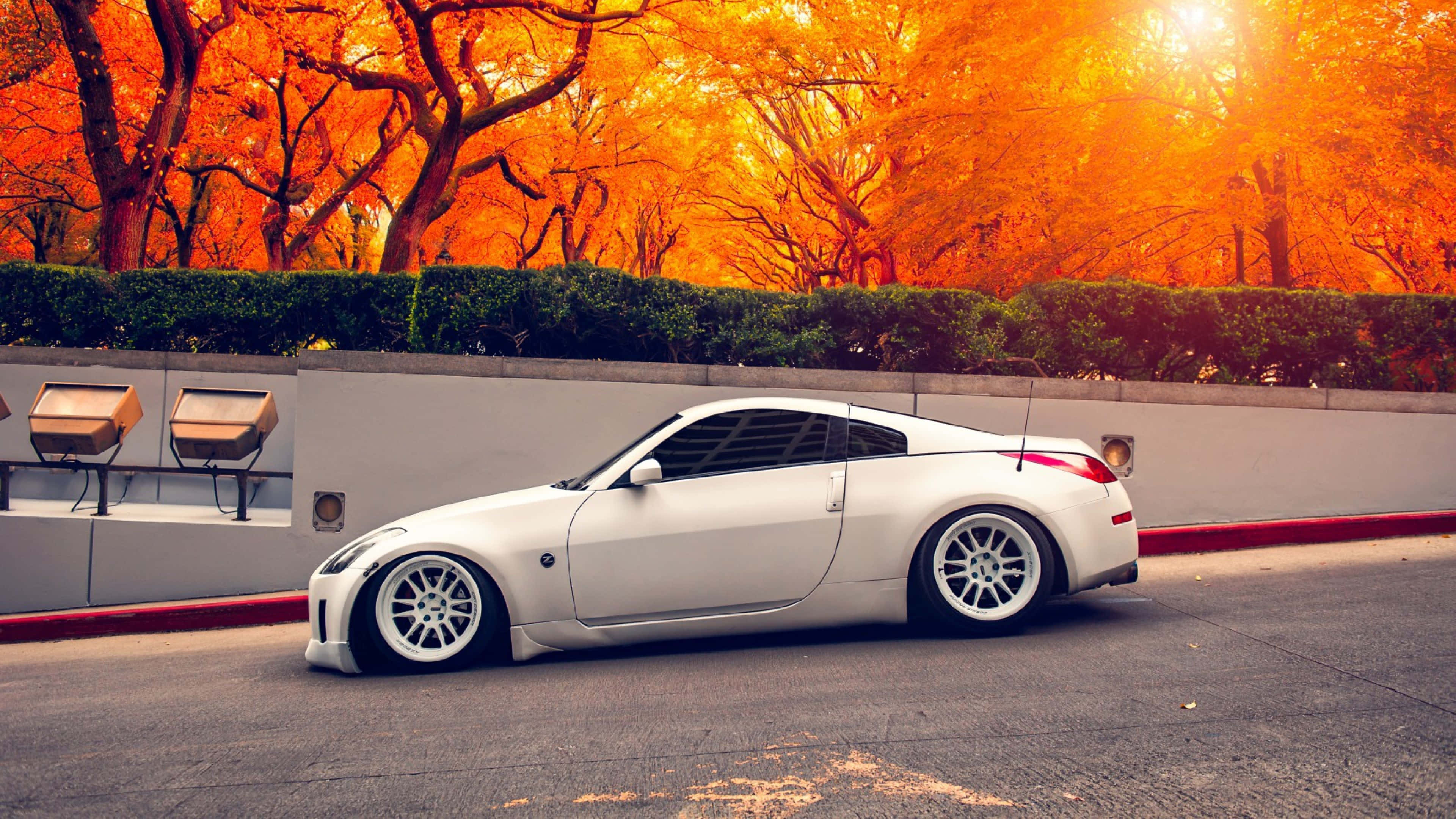 Ultra Wide 4K Car, sleek white sports car, fiery orange autumn trees, 4K Desktop Wallpaper