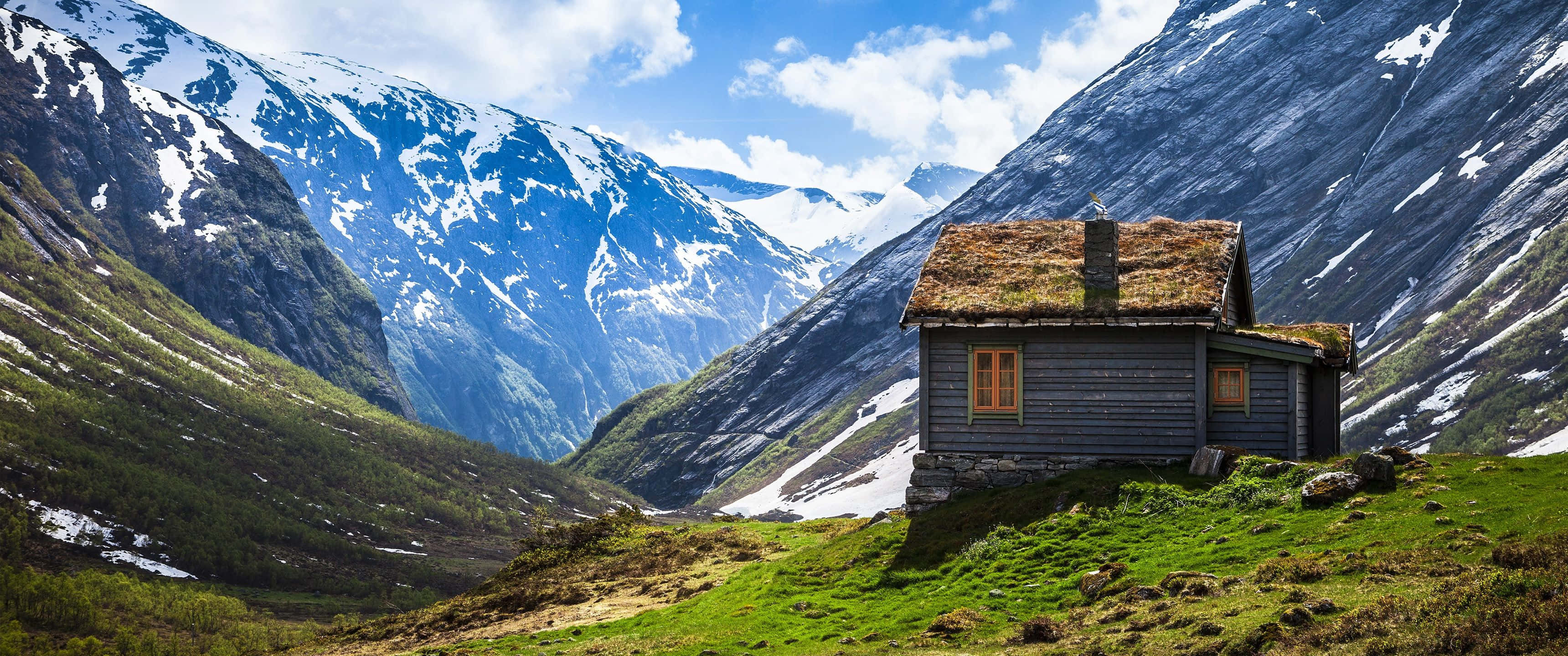 rustic wooden cabin, moss roof, grassy hillside, 2K Desktop Wallpaper