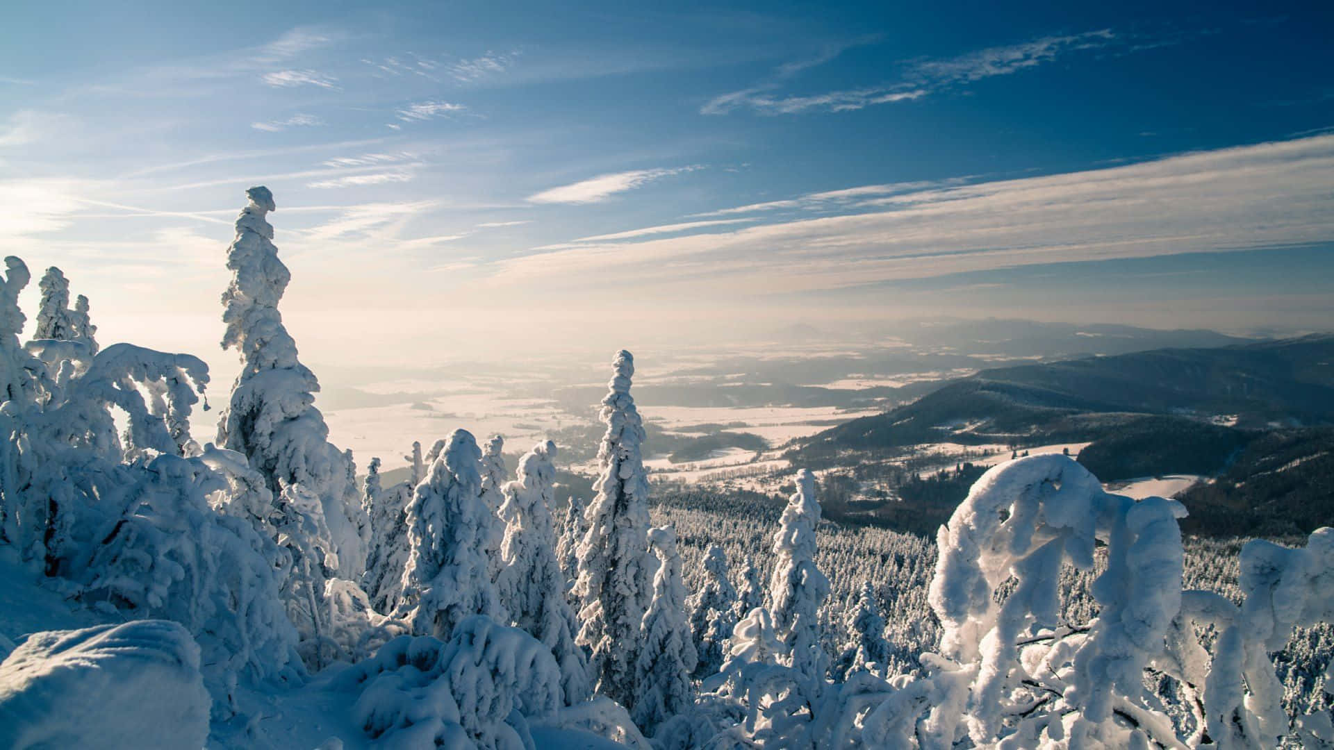 Ultra Wide Nature, snow-laden trees, mountain ridge, Full HD Desktop Wallpaper