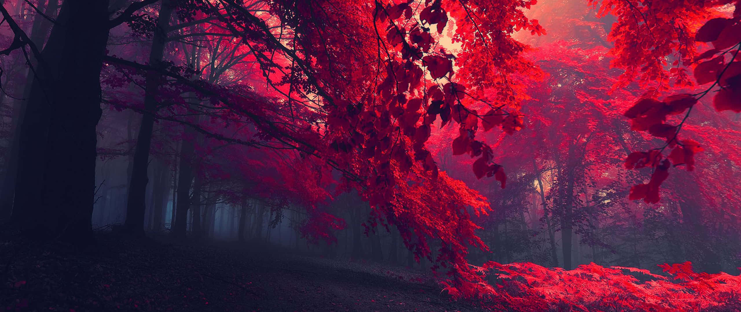 ultra wide nature, misty forest, surreal crimson light, 2K Desktop Wallpaper