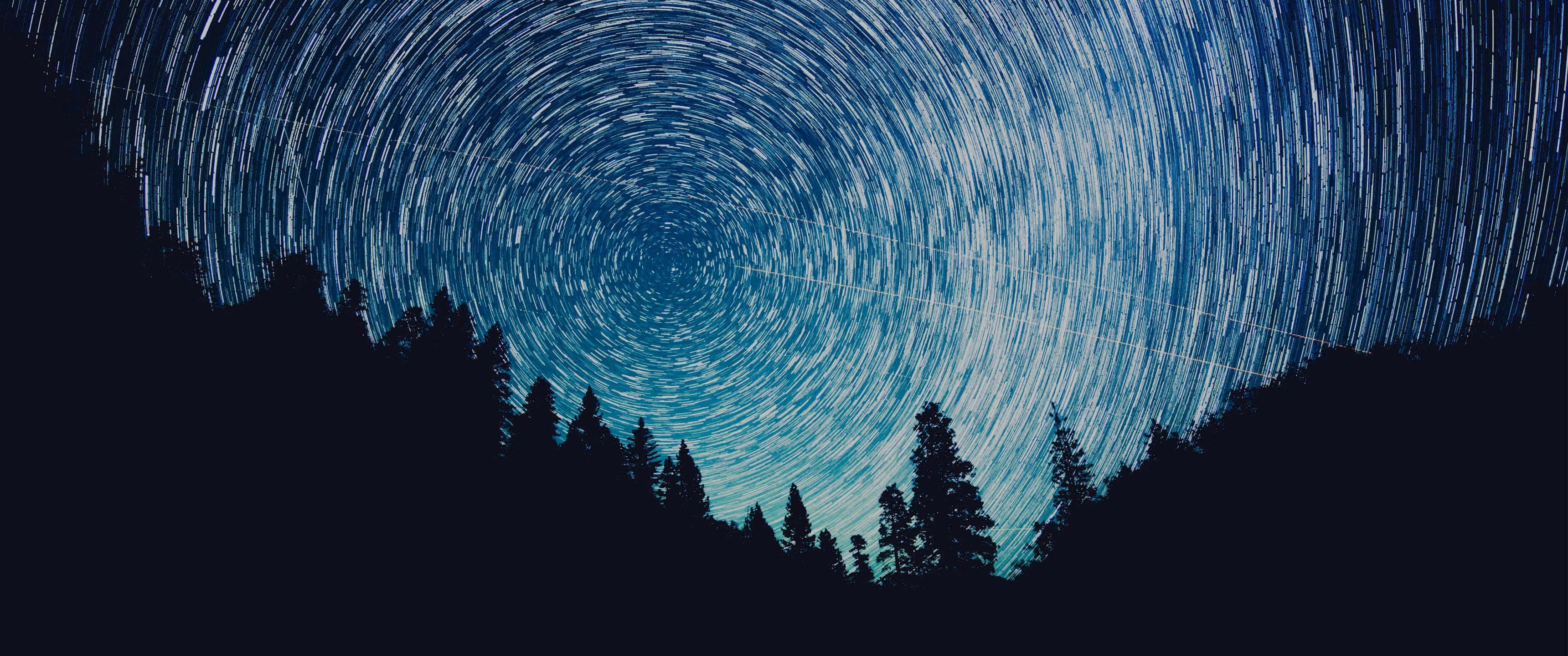 star trails, dark forest silhouette, deep blue night sky, 2K Desktop Wallpaper