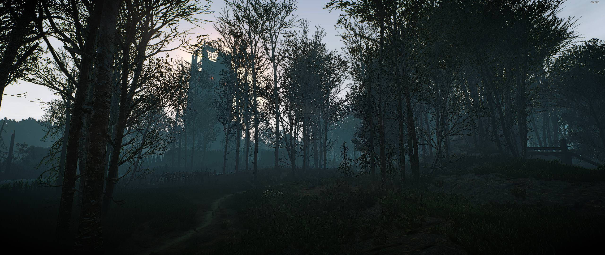 Ultrawide, forest, dawn, 2K Desktop Wallpaper