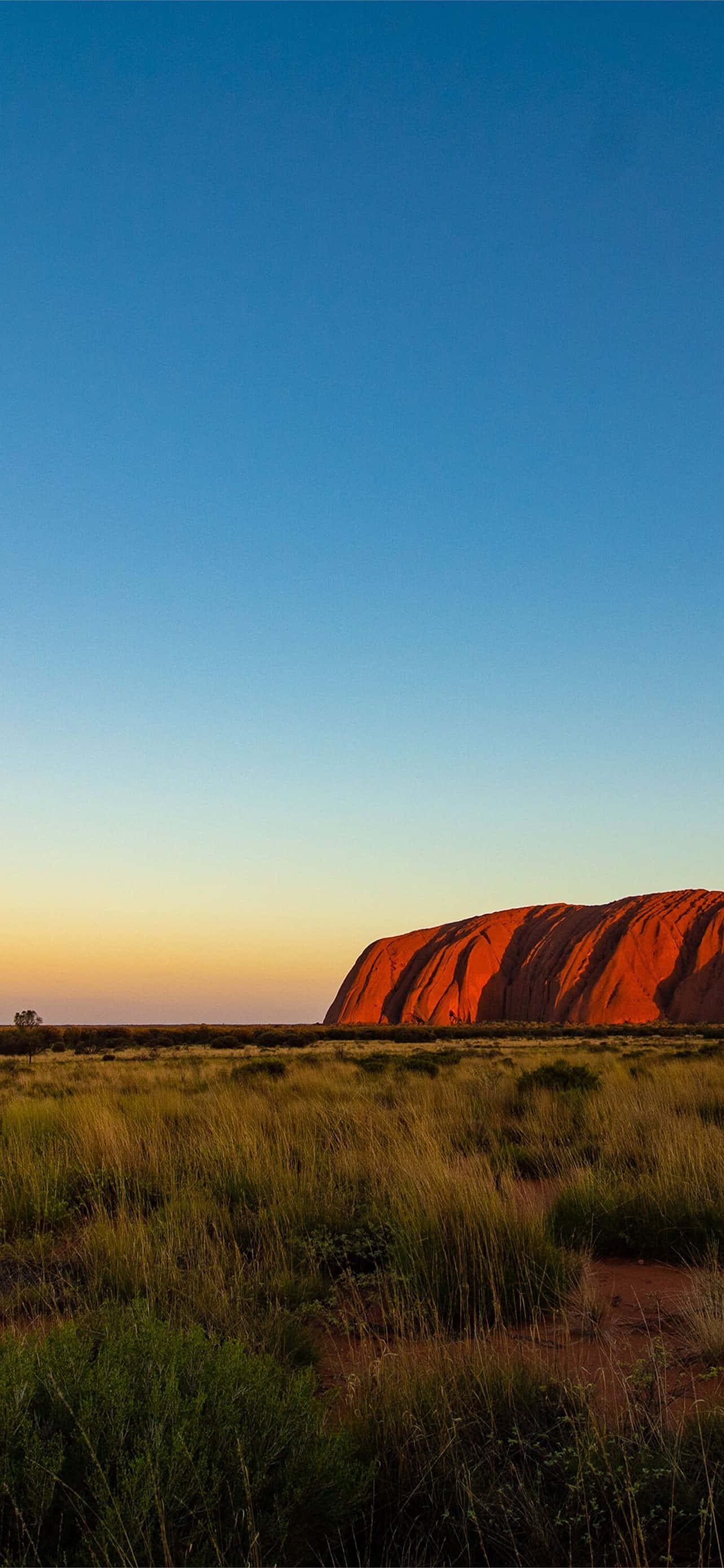 Uluru, yellow, blue sky, 2K Phone Wallpaper