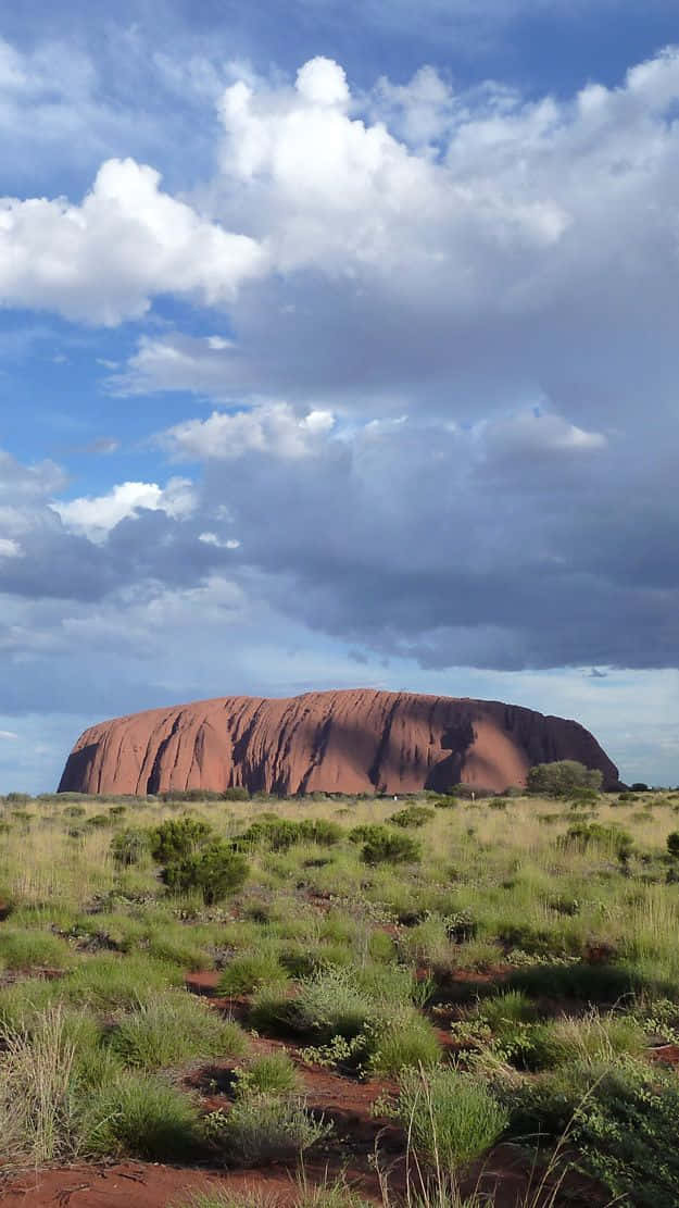Uluru, red rock formation, dry grassy plain, SD Phone Wallpaper