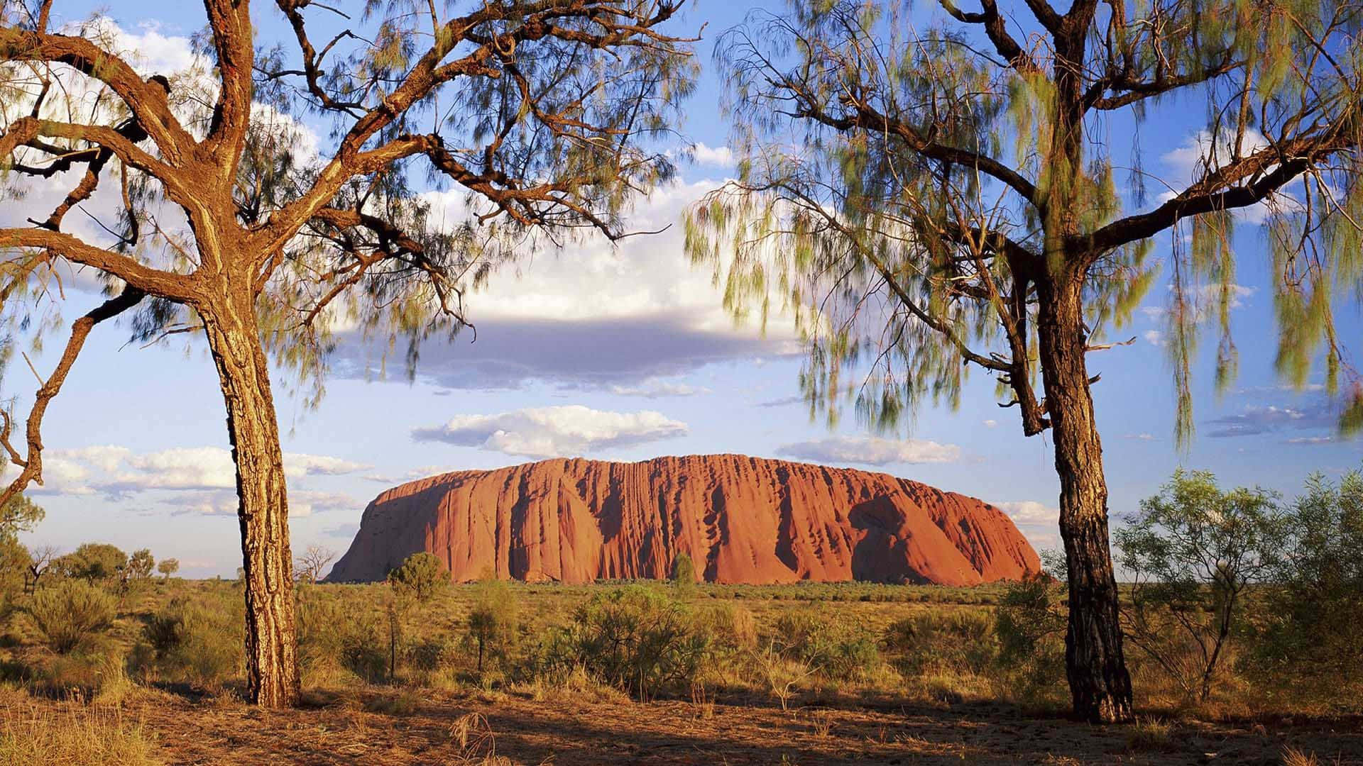 Uluru, two trees, red rock formation, Full HD Desktop Wallpaper