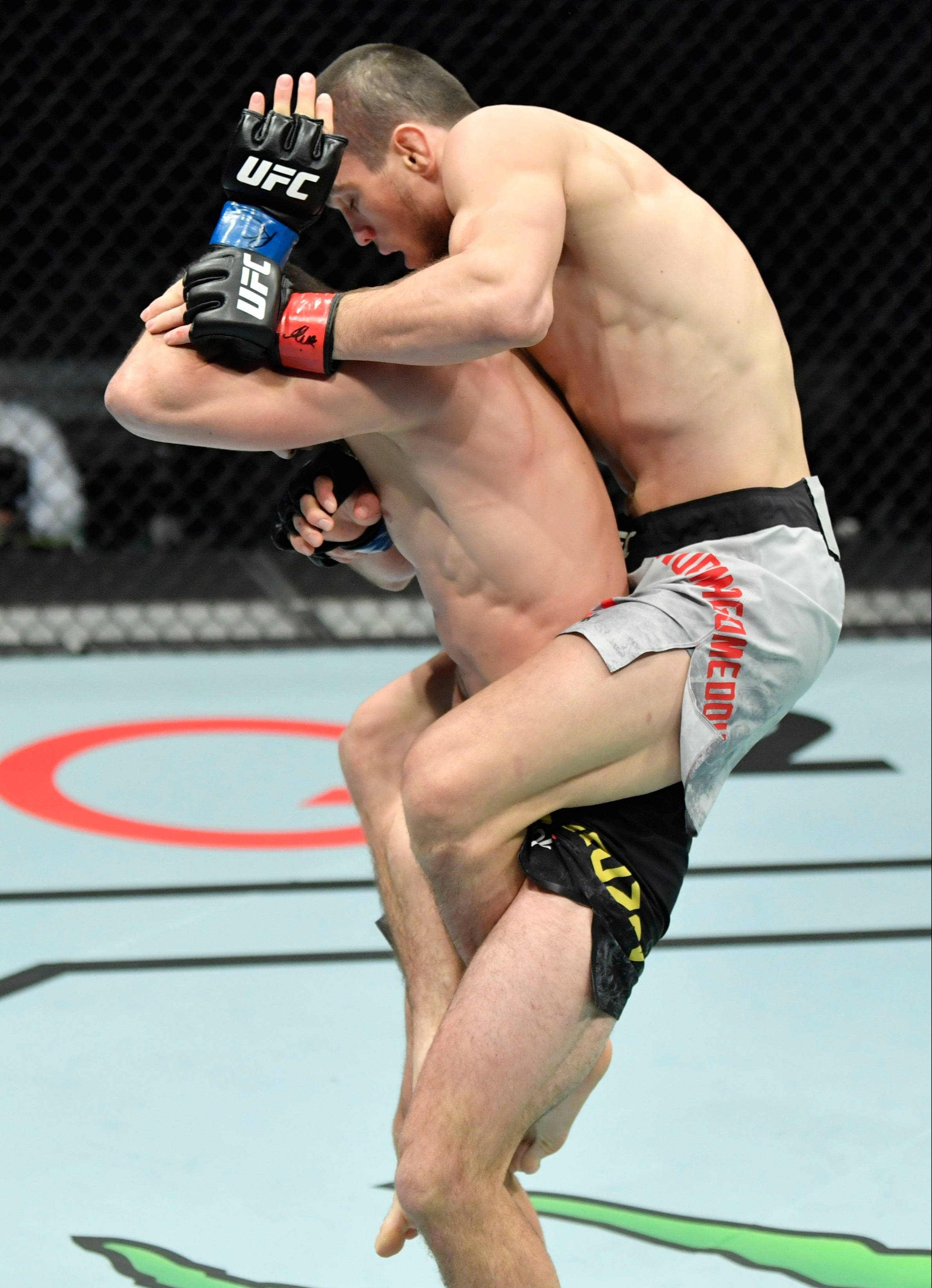 Umar Nurmagomedov, UFC match, cage, 2K Phone Wallpaper