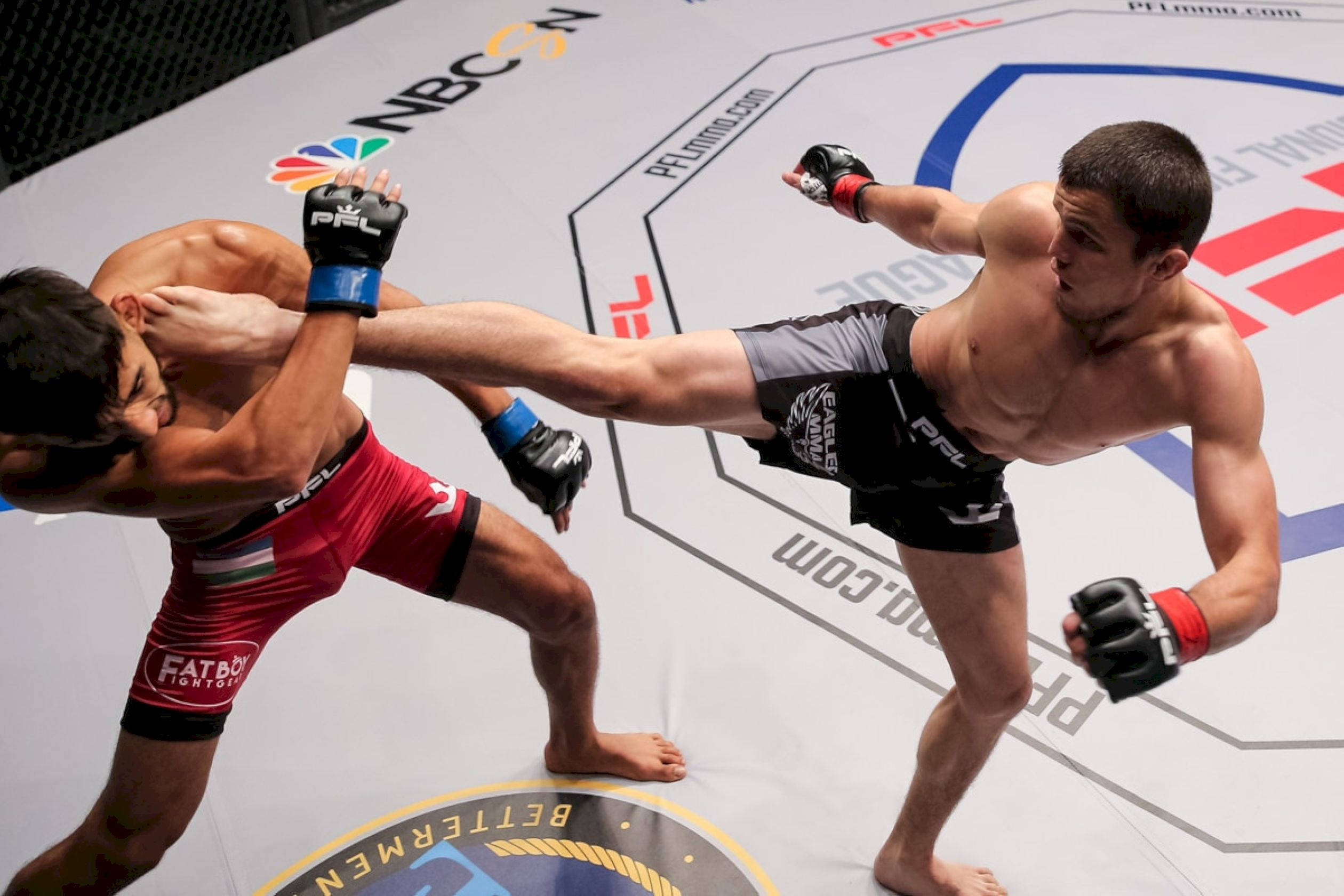 Umar Nurmagomedov, MMA match, high kick, Full HD Desktop Wallpaper