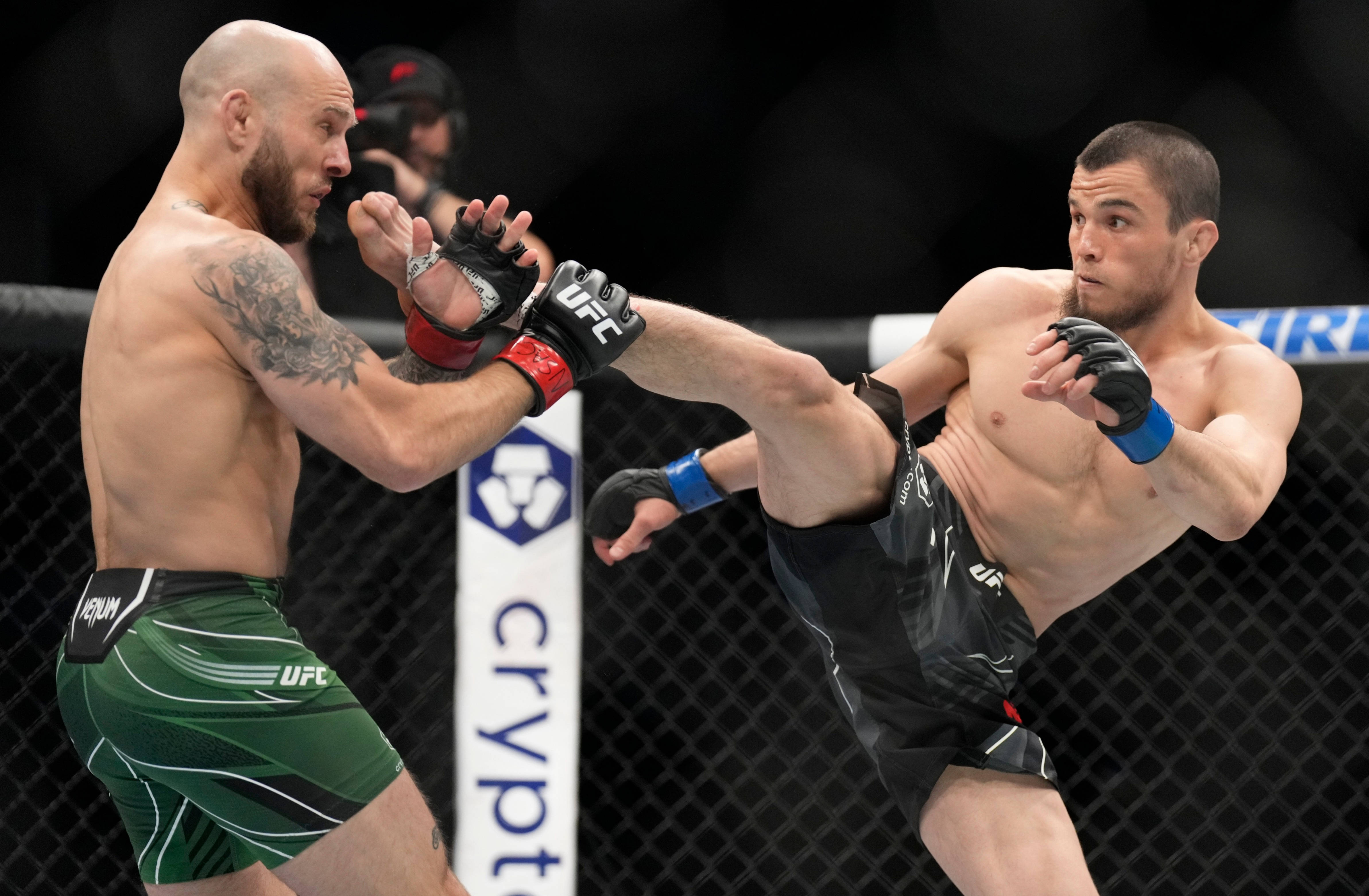 Umar Nurmagomedov, MMA fighters, octagon, 4K Desktop Wallpaper