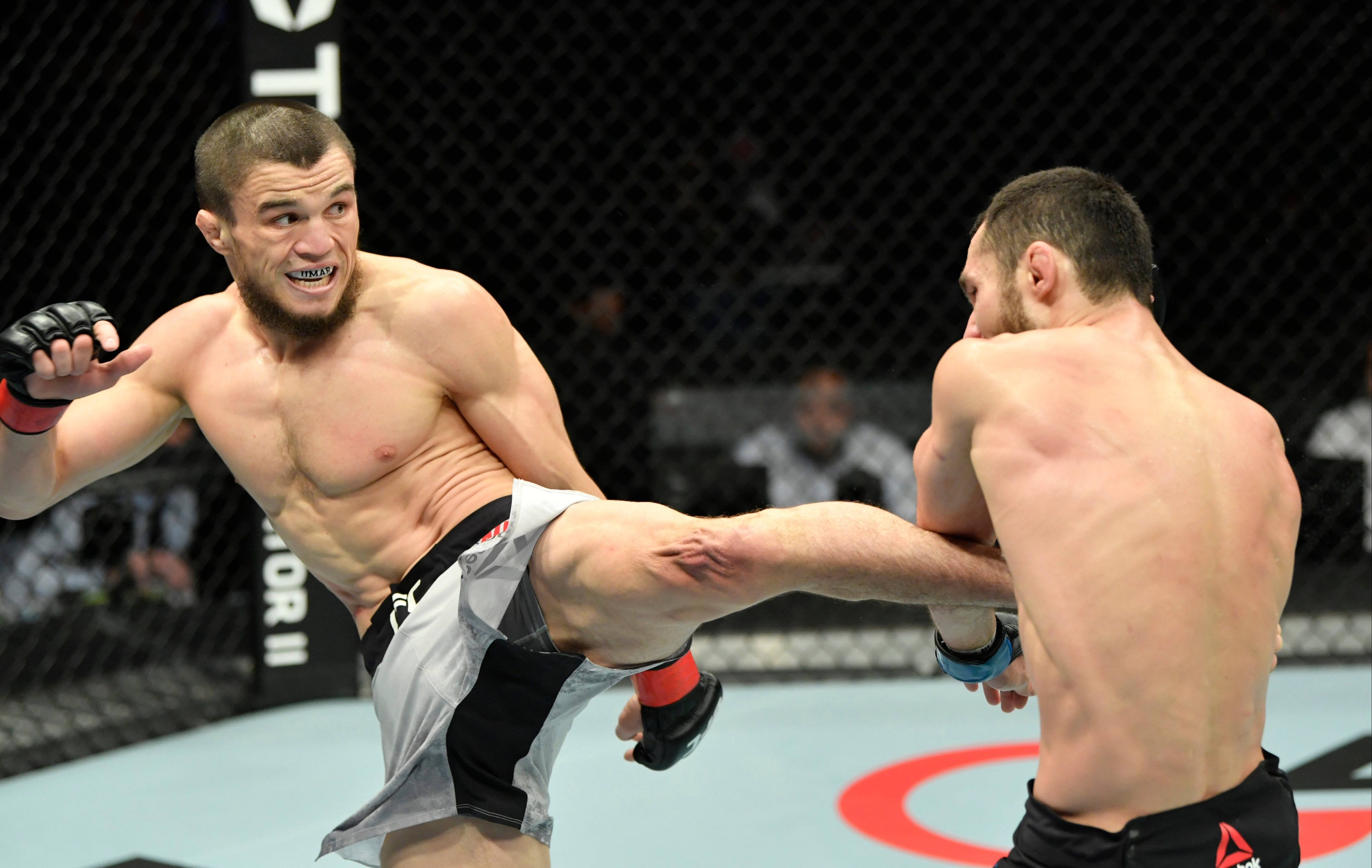 Umar Nurmagomedov, MMA match, octagon, 4K Desktop Wallpaper