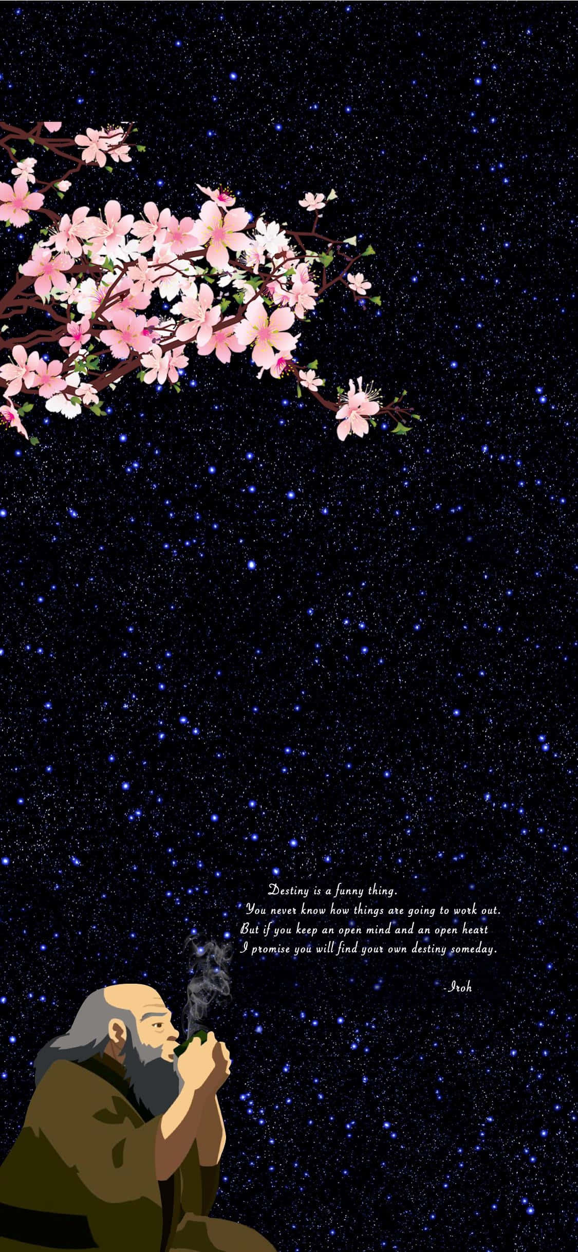 Uncle Iroh, starry night sky, pink cherry blossoms, Full HD Phone Wallpaper