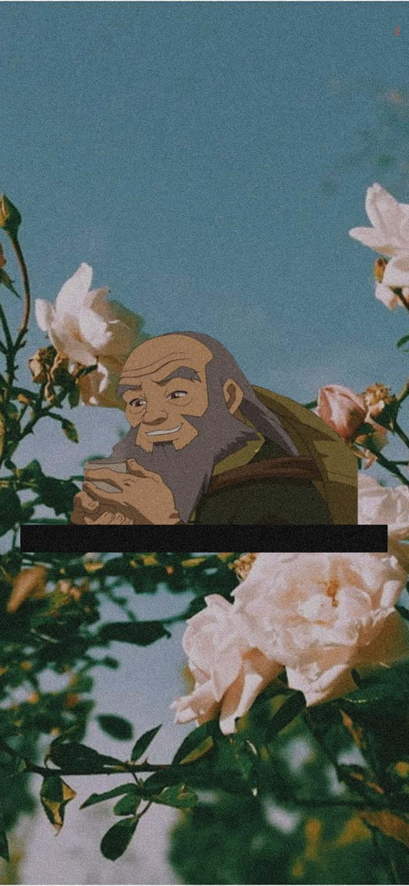 Uncle Iroh, white roses, soft blue sky, HD Phone Wallpaper
