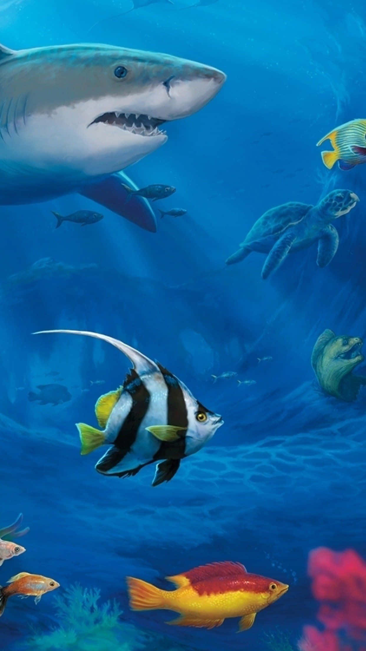 shark, schooling bannerfish, sea turtle, Full HD Phone Wallpaper