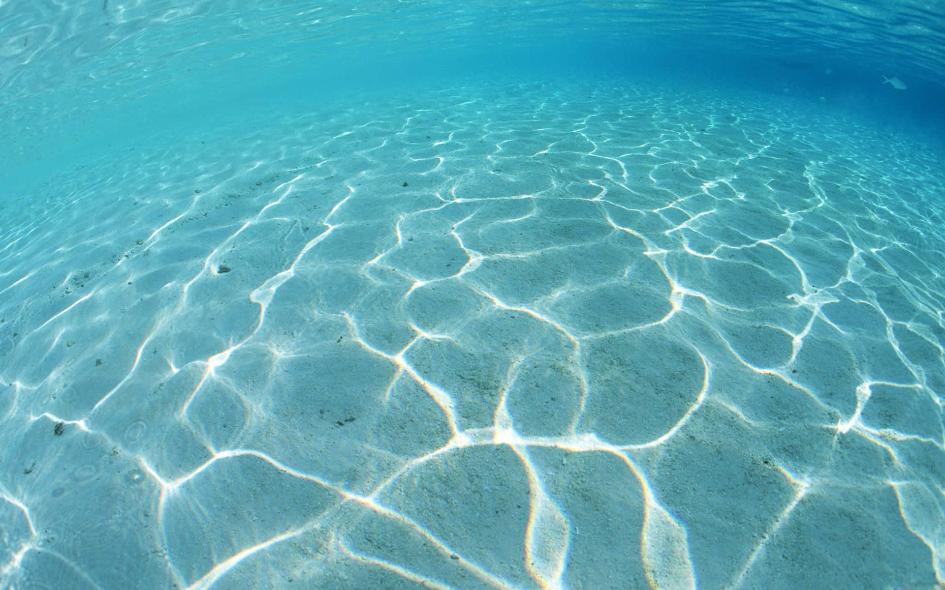 turquoise water, sandy ocean floor, sunlight, Full HD Desktop Wallpaper