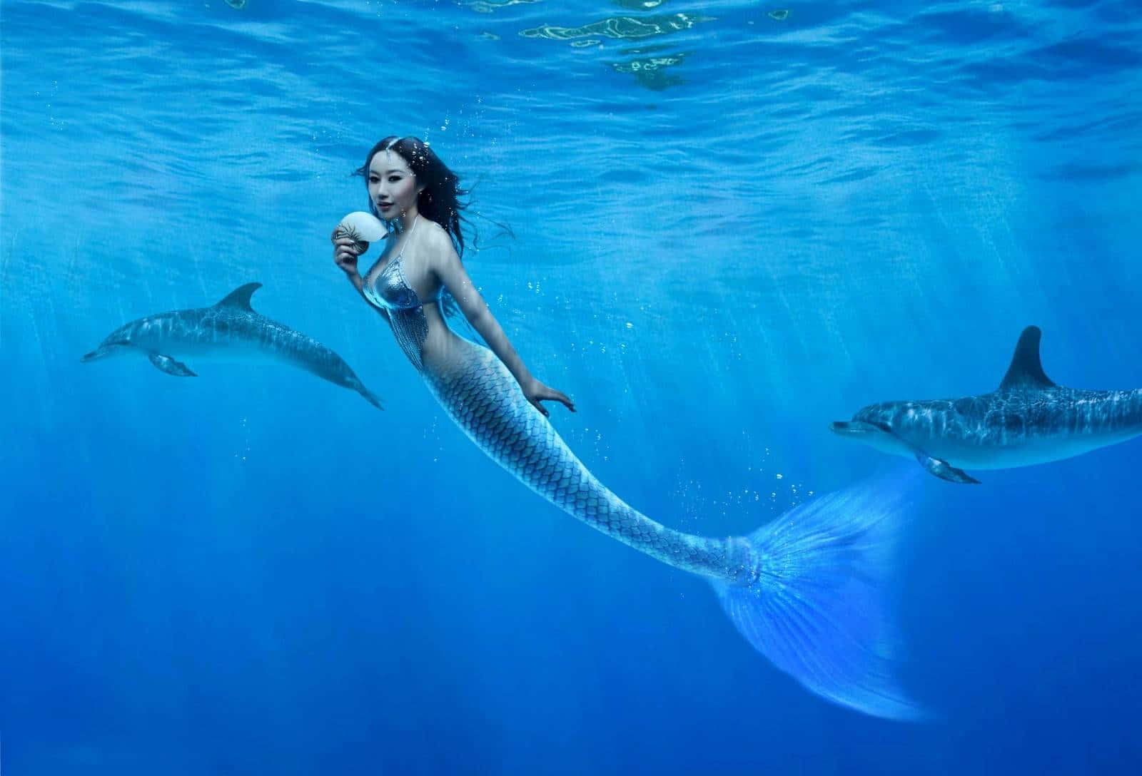mermaid, shimmering blue tail, seashell, HD Desktop Wallpaper