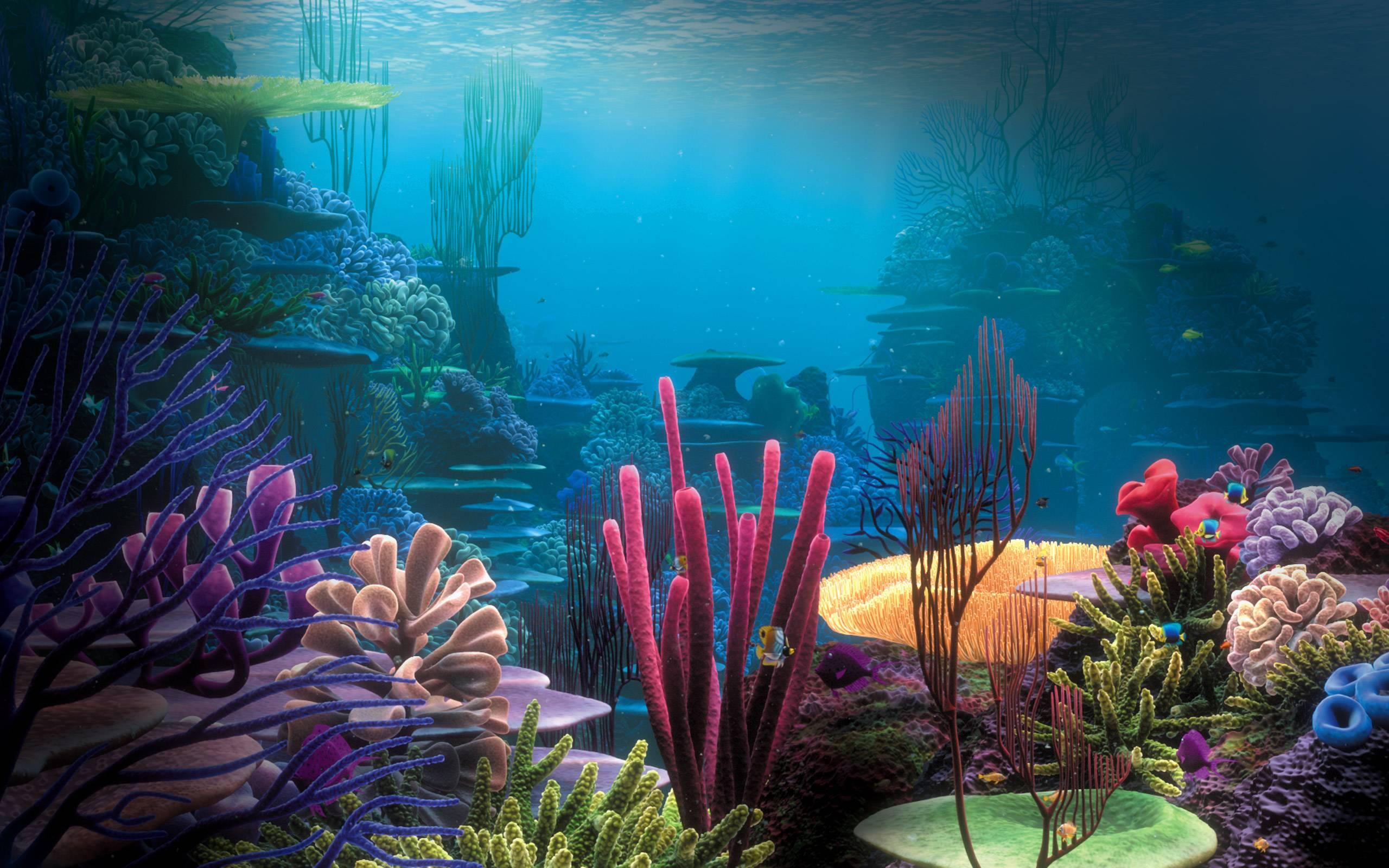 colorful corals, vibrant coral reef, colorful sea life, 2K Desktop Wallpaper