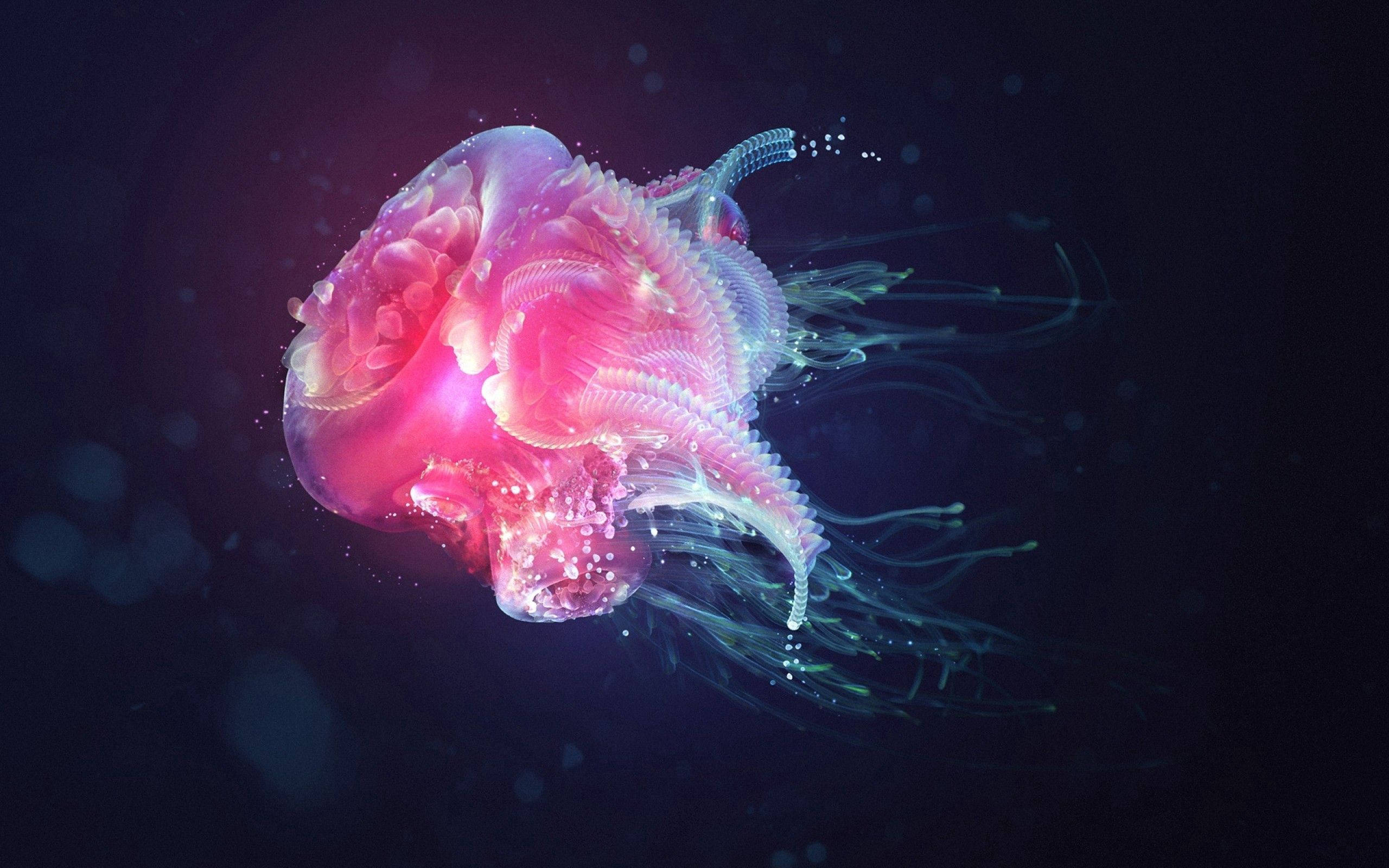 pink jellyfish, dark ocean water, bioluminescent light, 2K Desktop Wallpaper
