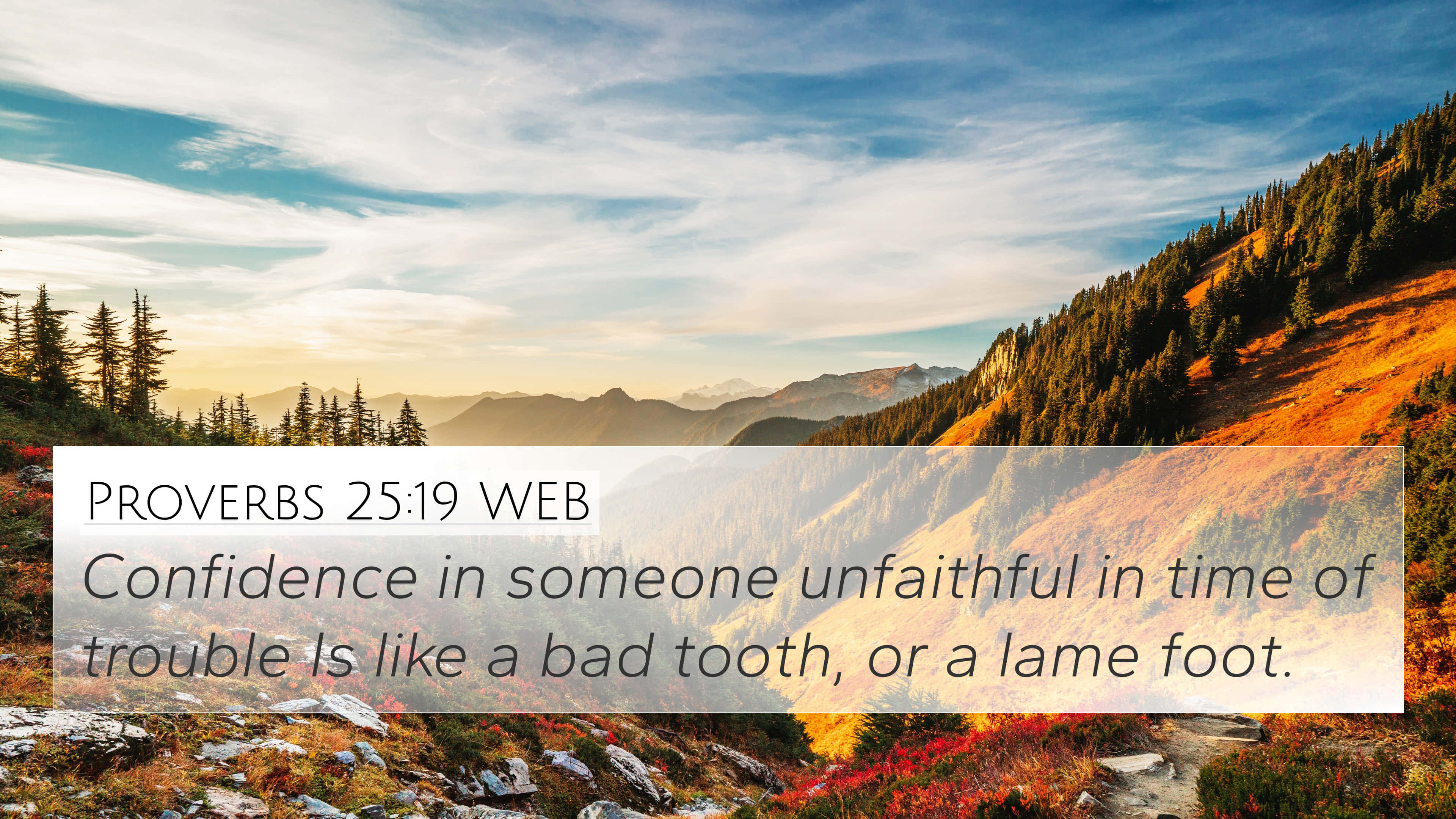 Proverbs of Unfaithful, golden sunset light, evergreen forests, 4K Desktop Wallpaper