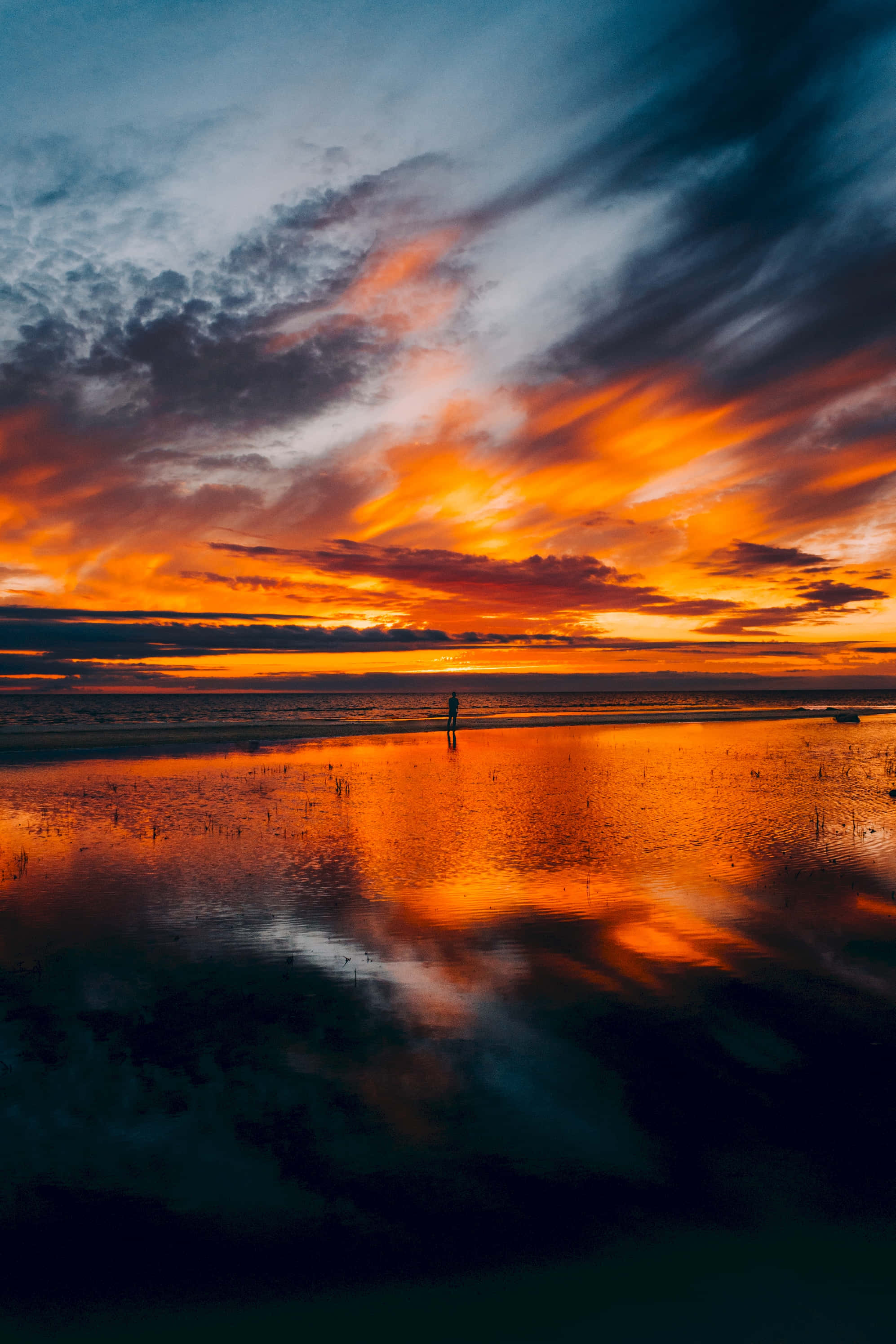 Fiery Sunset Silhouette, wet beach, fiery orange, 2K Phone Wallpaper
