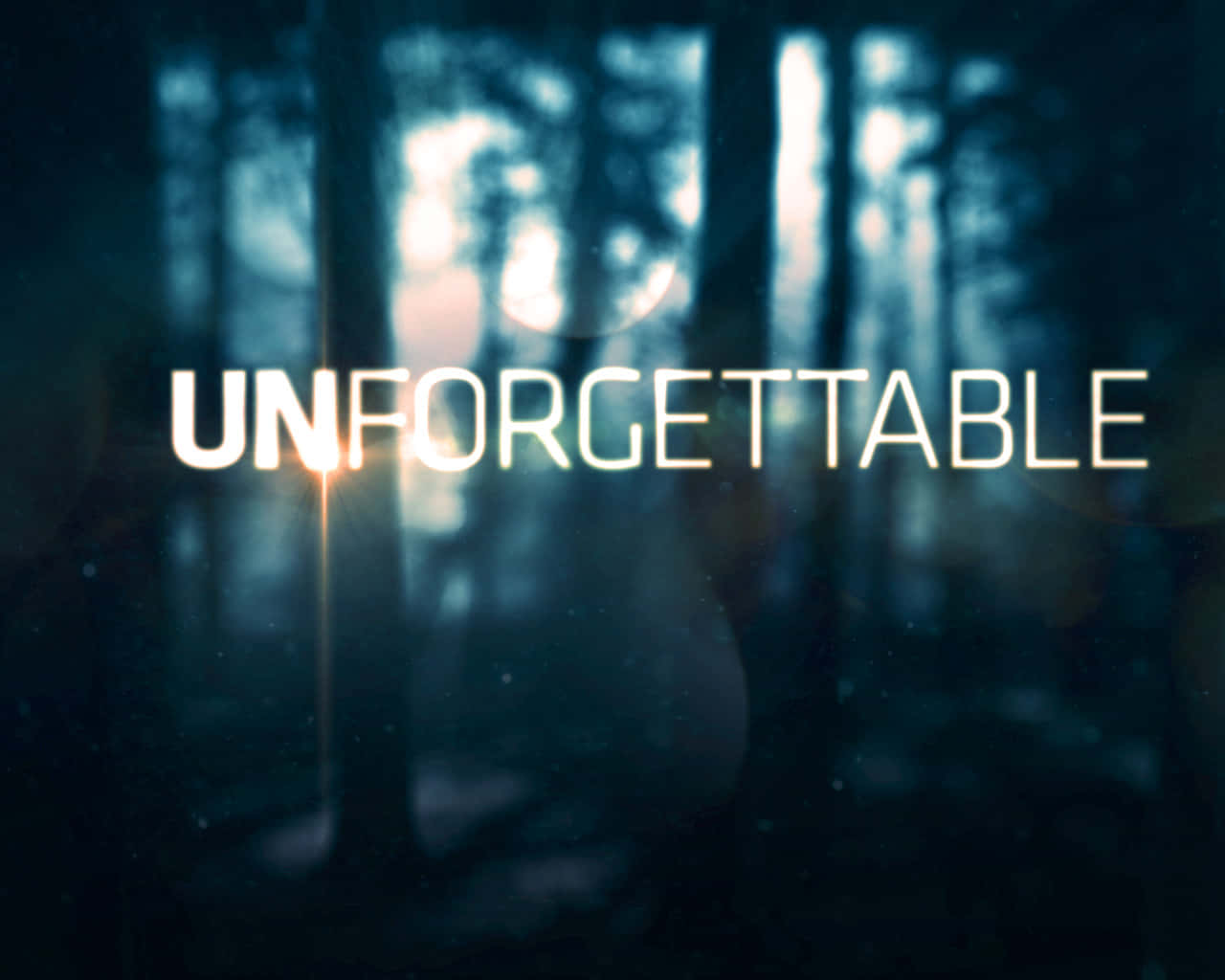 Unforgettable, forest backdrop, dark misty forest, HD Desktop Wallpaper