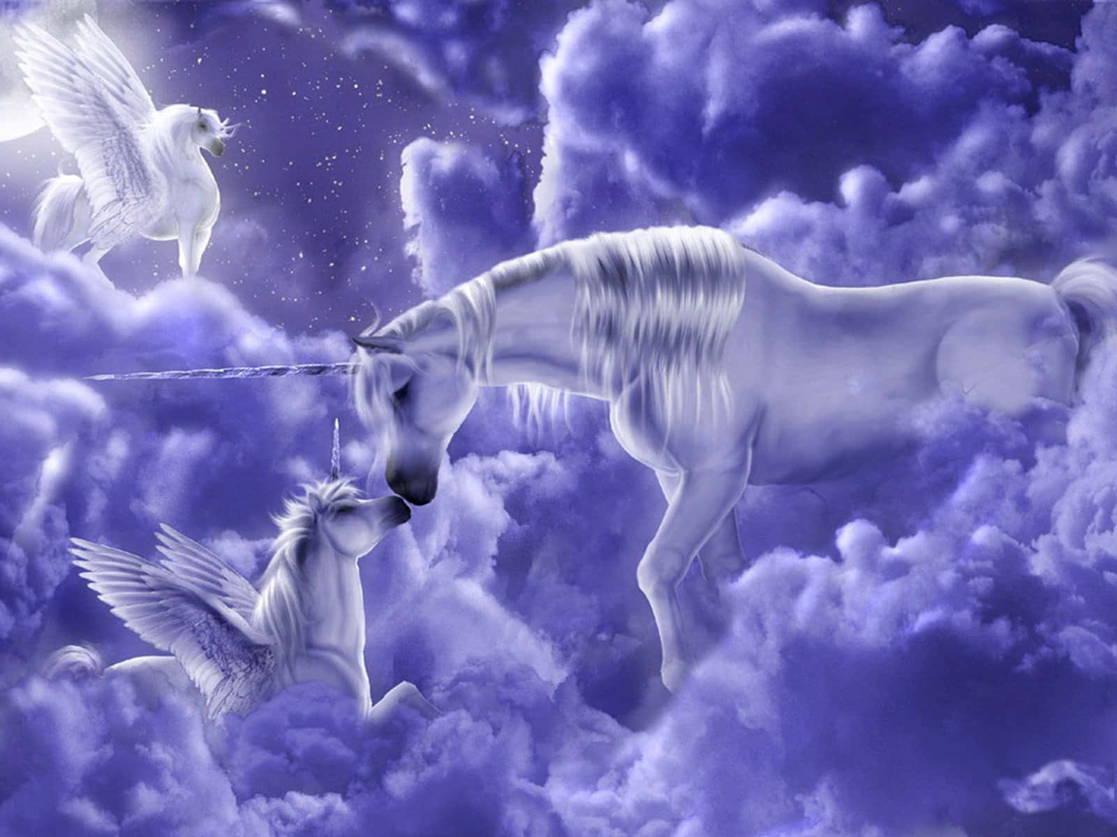purple unicorn, white unicorn, winged horse, HD Desktop Wallpaper