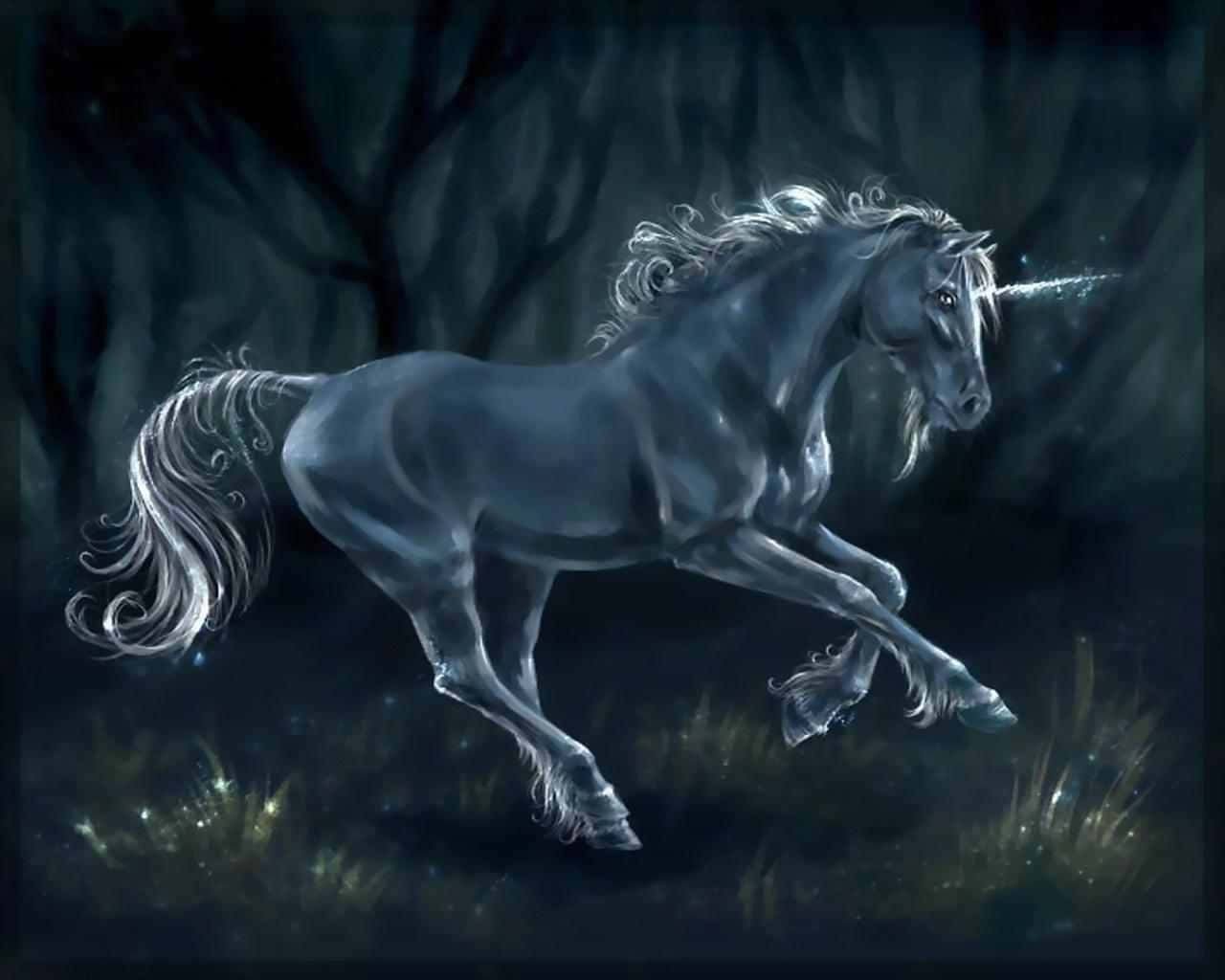 Unicorn Desktop, silver unicorn, dark enchanted forest, HD Desktop Wallpaper