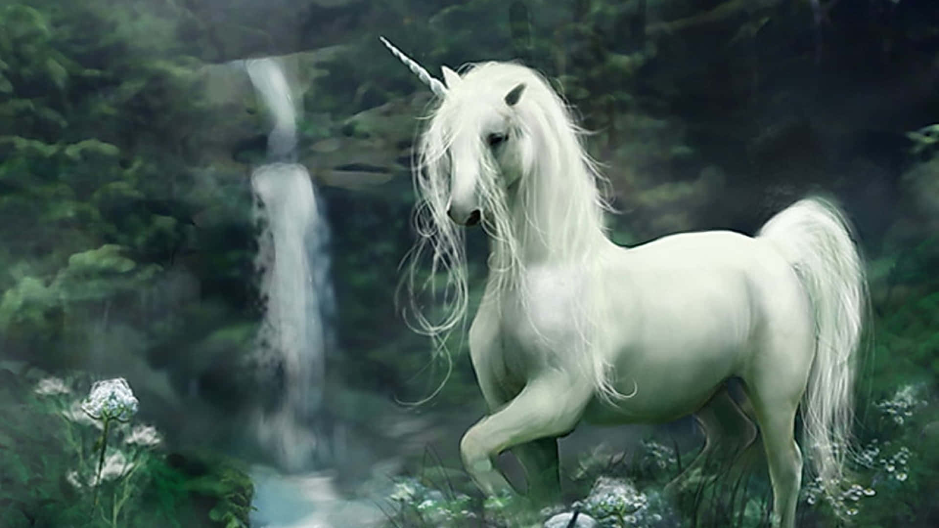 unicorn, white unicorn, flowing mane, Full HD Desktop Wallpaper