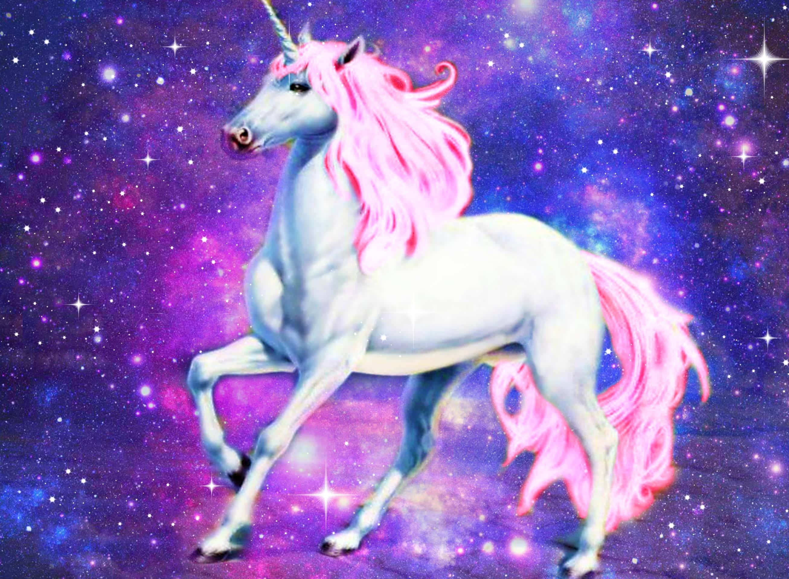 unicorn, white unicorn, pink mane, 2K Desktop Wallpaper