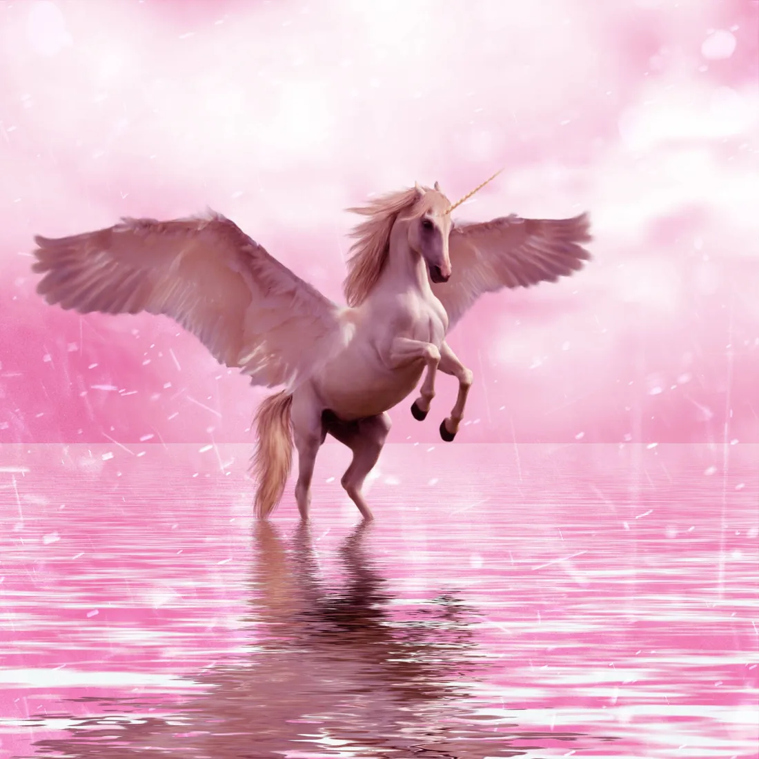 Unicorn