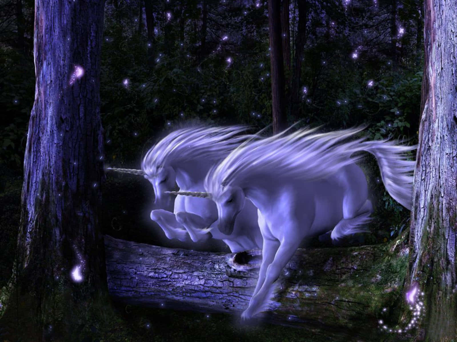 purple unicorn, glowing white unicorns, mystical purple forest, HD Desktop Wallpaper