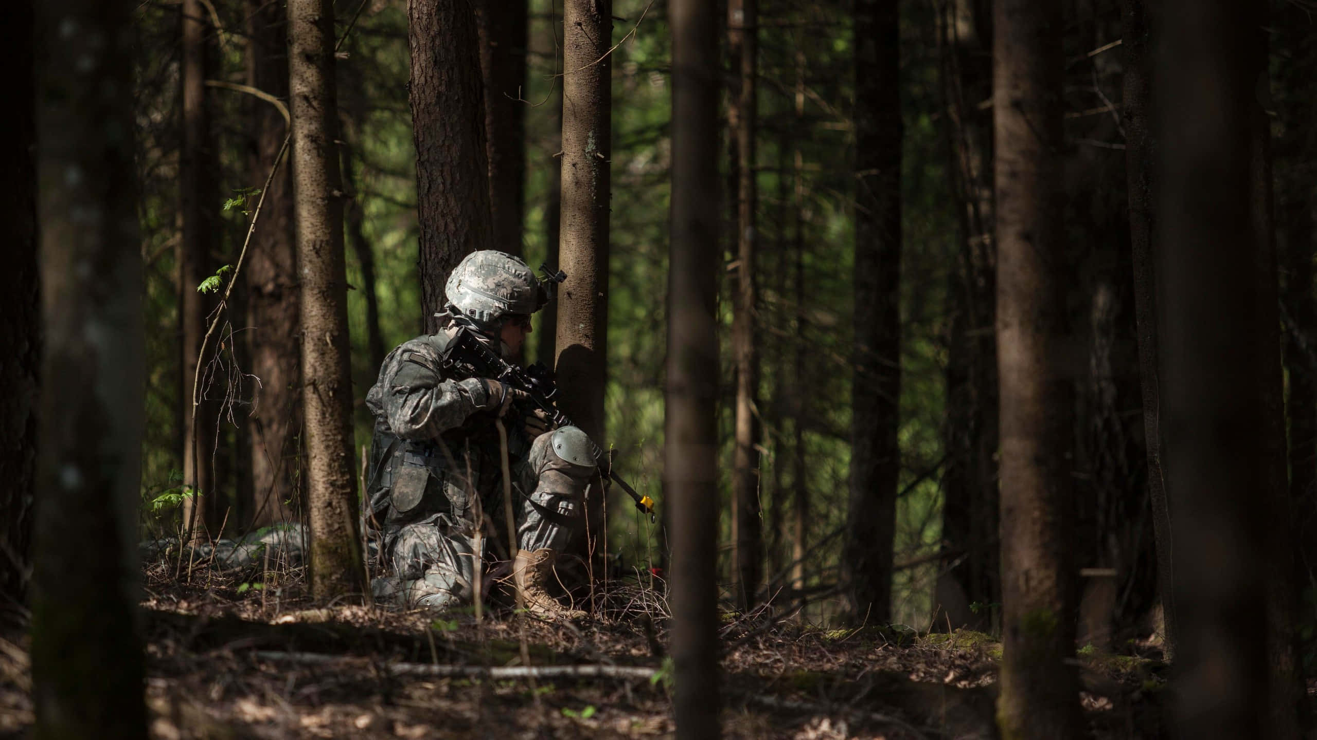 United States Army, camouflage gear, tree trunks, 2K Desktop Wallpaper