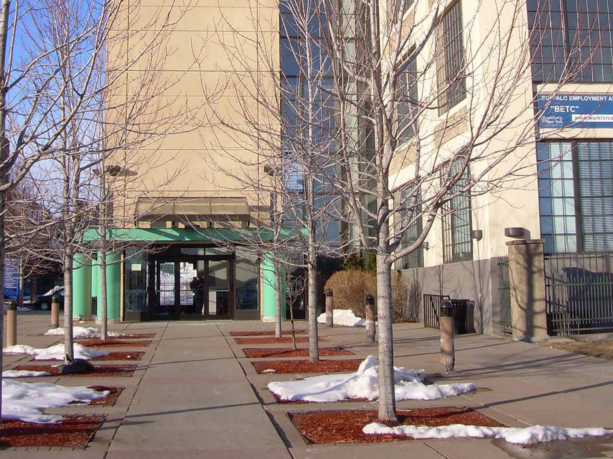 University At Buffalo SUNY, bare trees, melting snow patches, Full HD Desktop Wallpaper