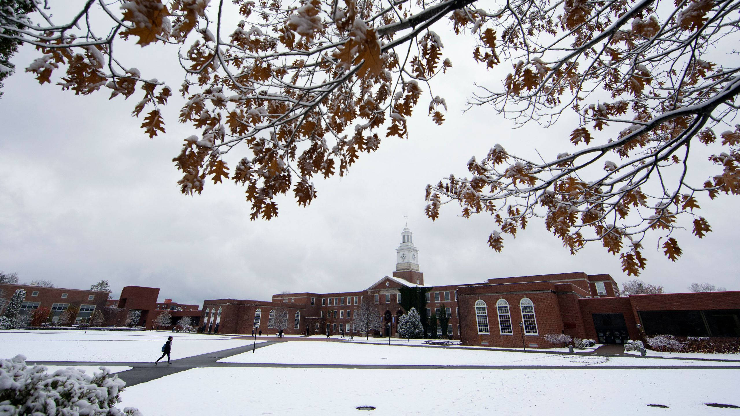 University At Buffalo SUNY, winter campus, snow, 2K Desktop Wallpaper