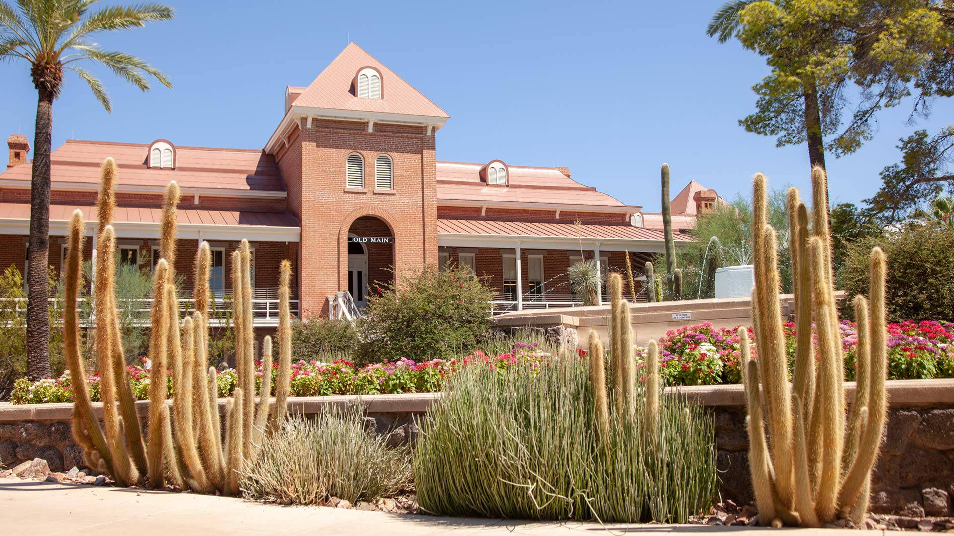 University Of Arizona, cacti, red brick building, Full HD Desktop Wallpaper