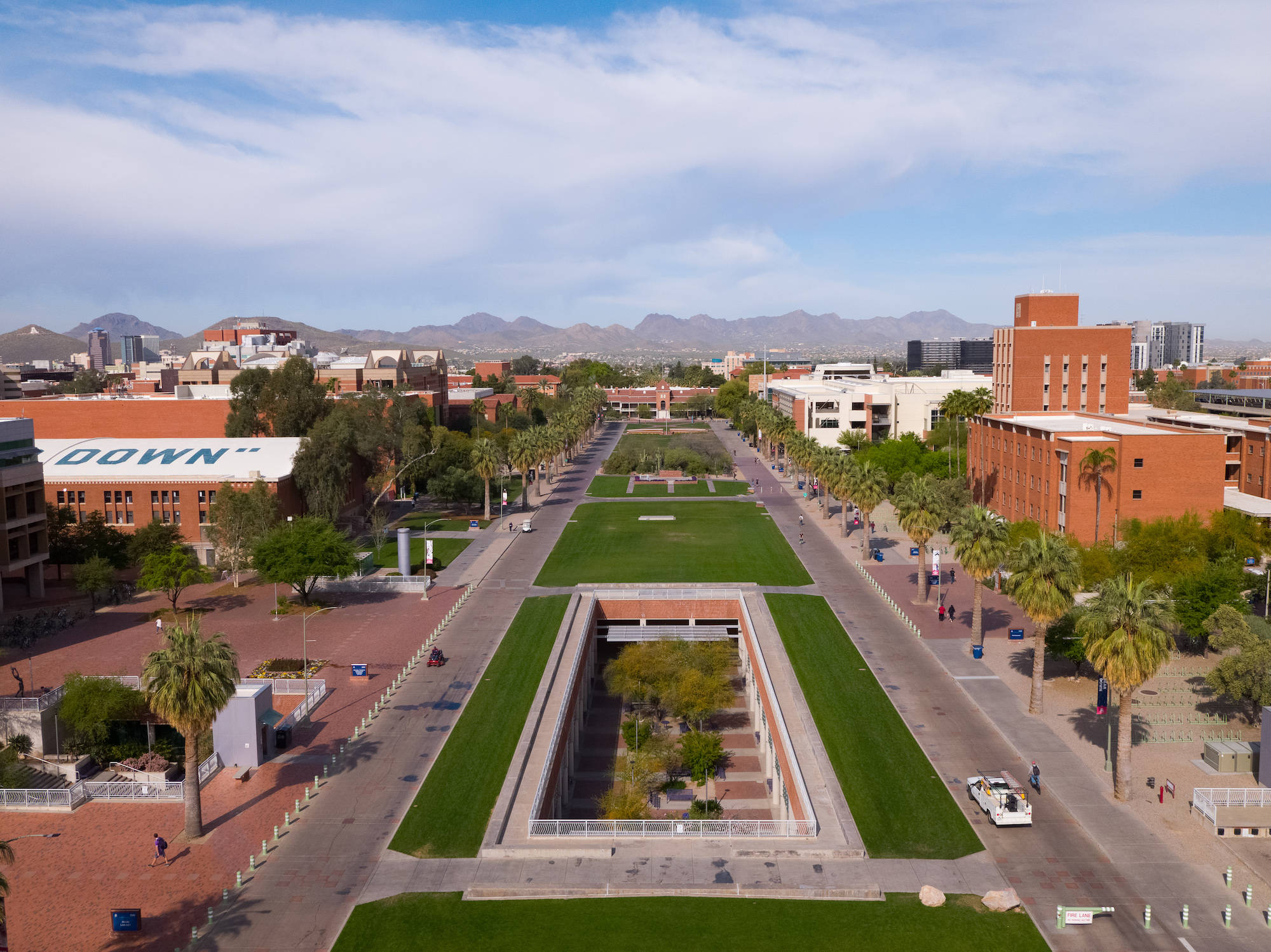 University Of Arizona, red brick buildings, palm trees, Full HD Desktop Wallpaper