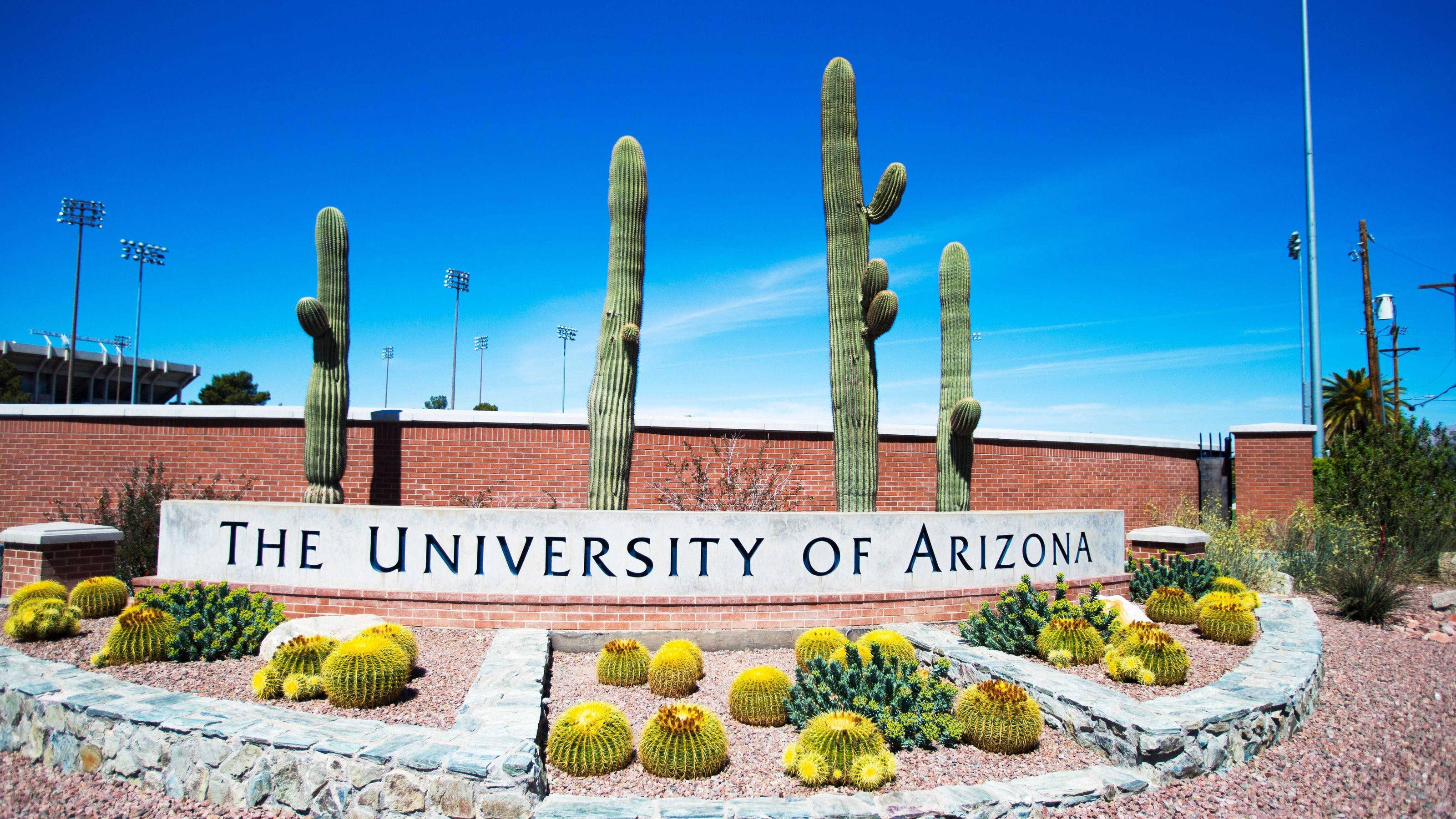 University of Arizona, saguaro cacti, golden barrel cacti, 2K Desktop Wallpaper